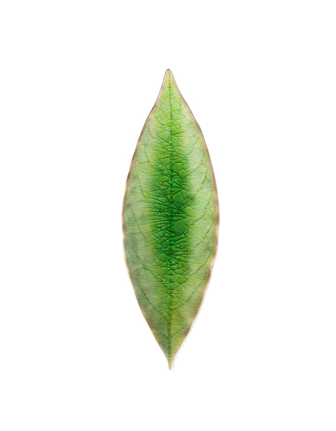 Screenshot 2024-04-25 110152.png