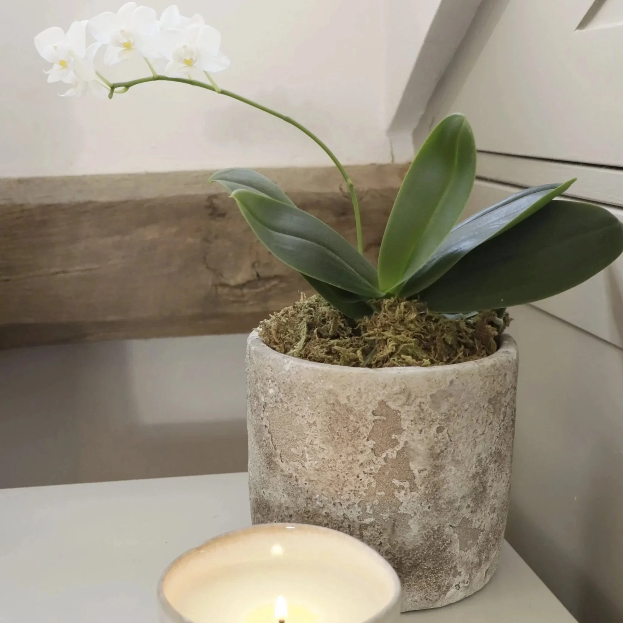 Medium Agean Rustic Pot
