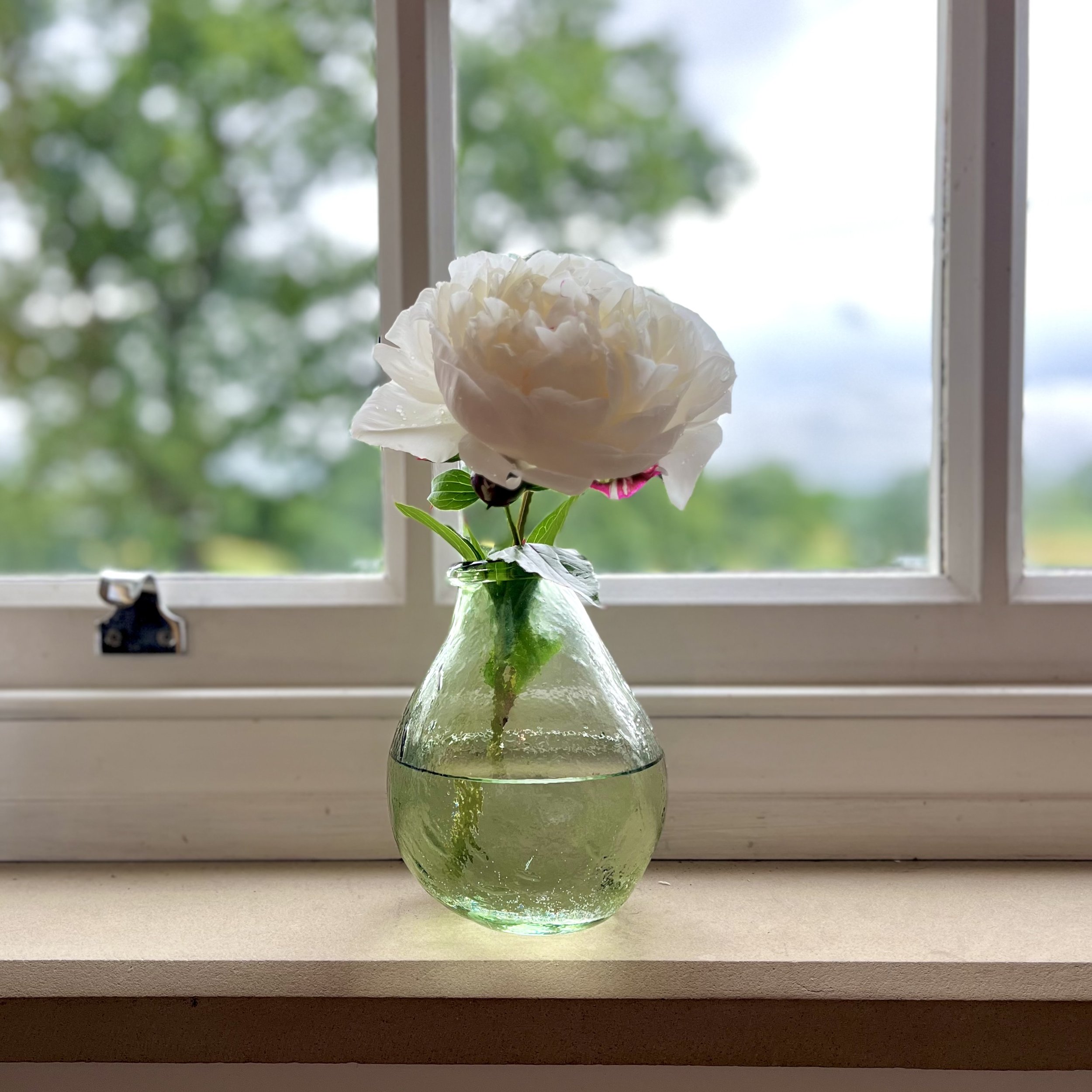 IMG_1050.jpeg
