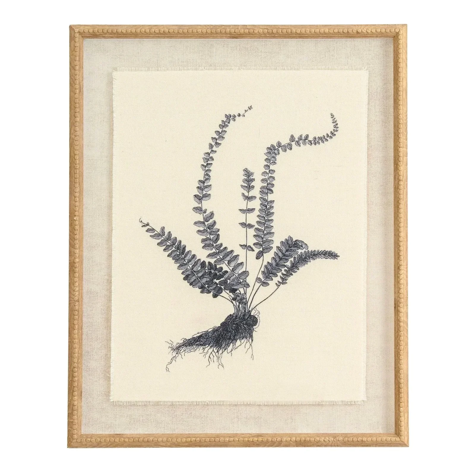 Asplenium Fern Botanical Linen Framed Print