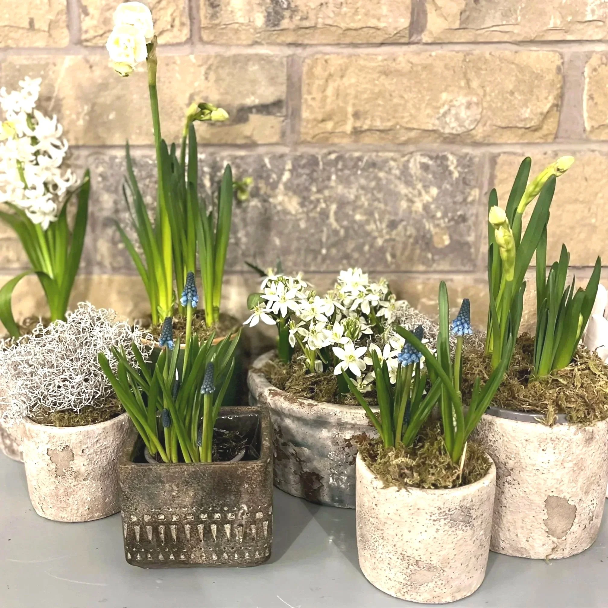 Small Agean Rustic Pot