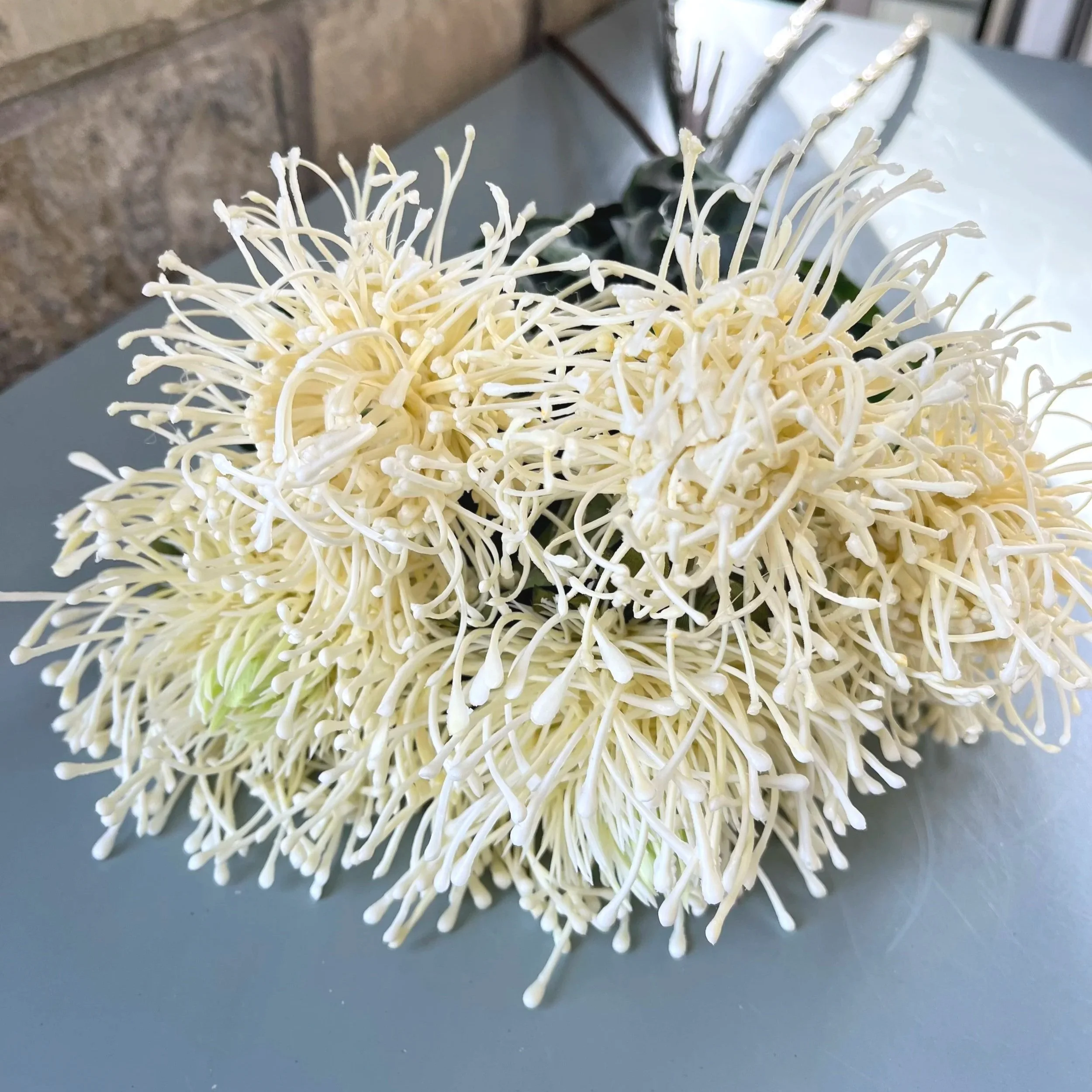 Cream Protea Faux Spray