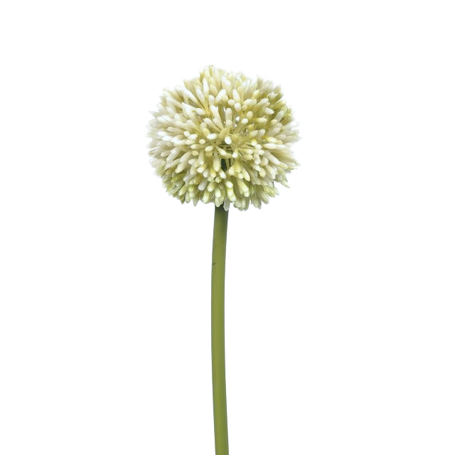 Cream Allium Faux Flower Stem