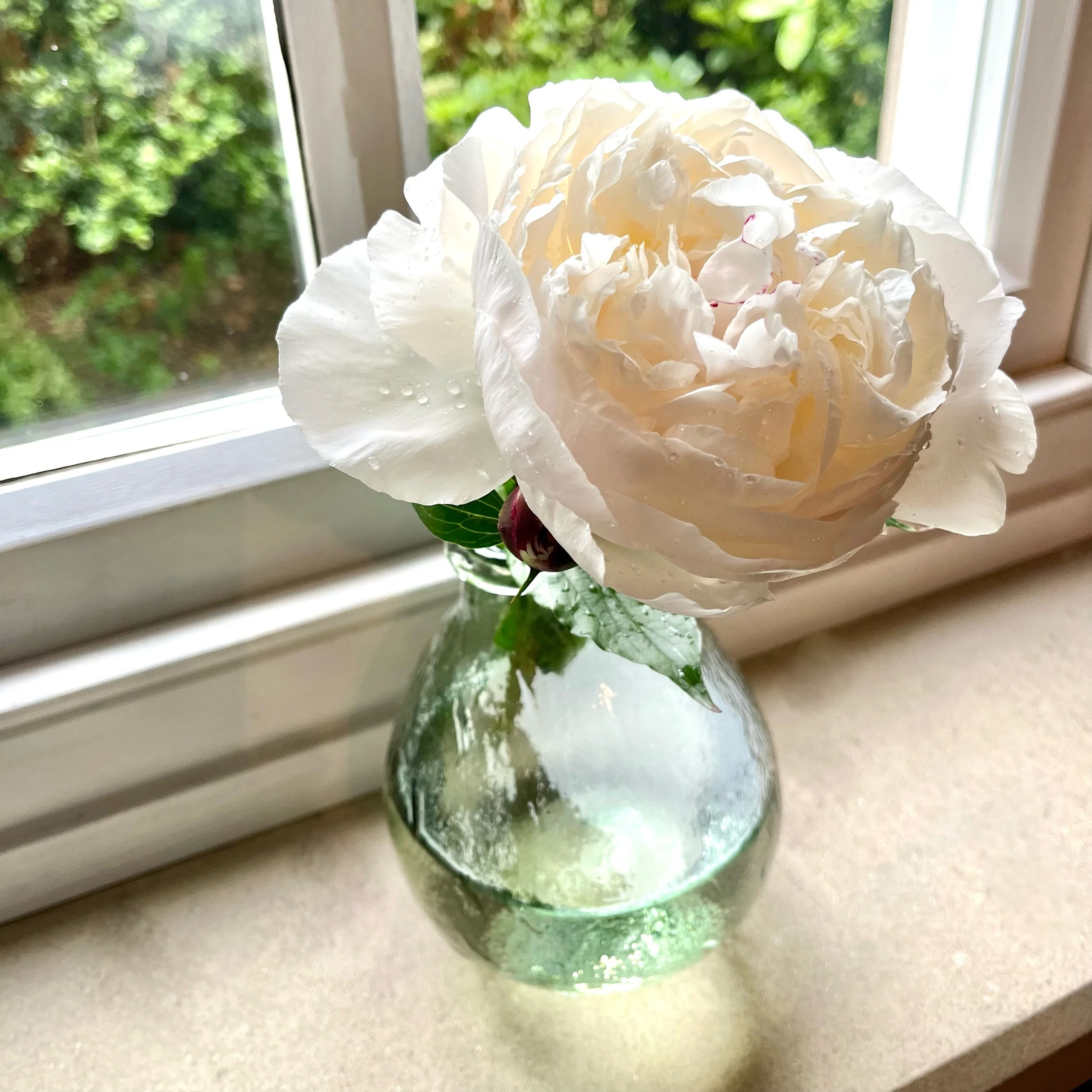 IMG_1053.jpeg