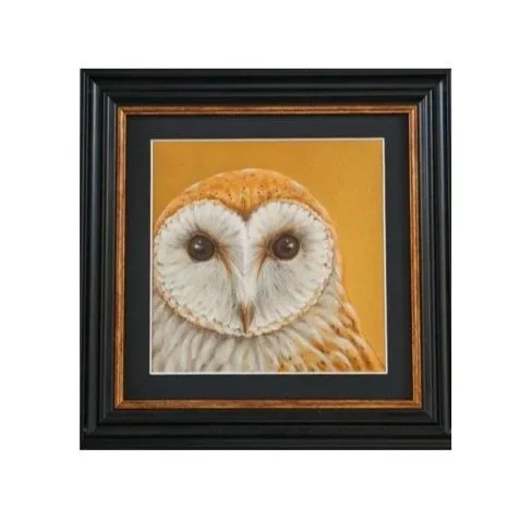 Annette Laycock 'Watchful Owl' Framed Print