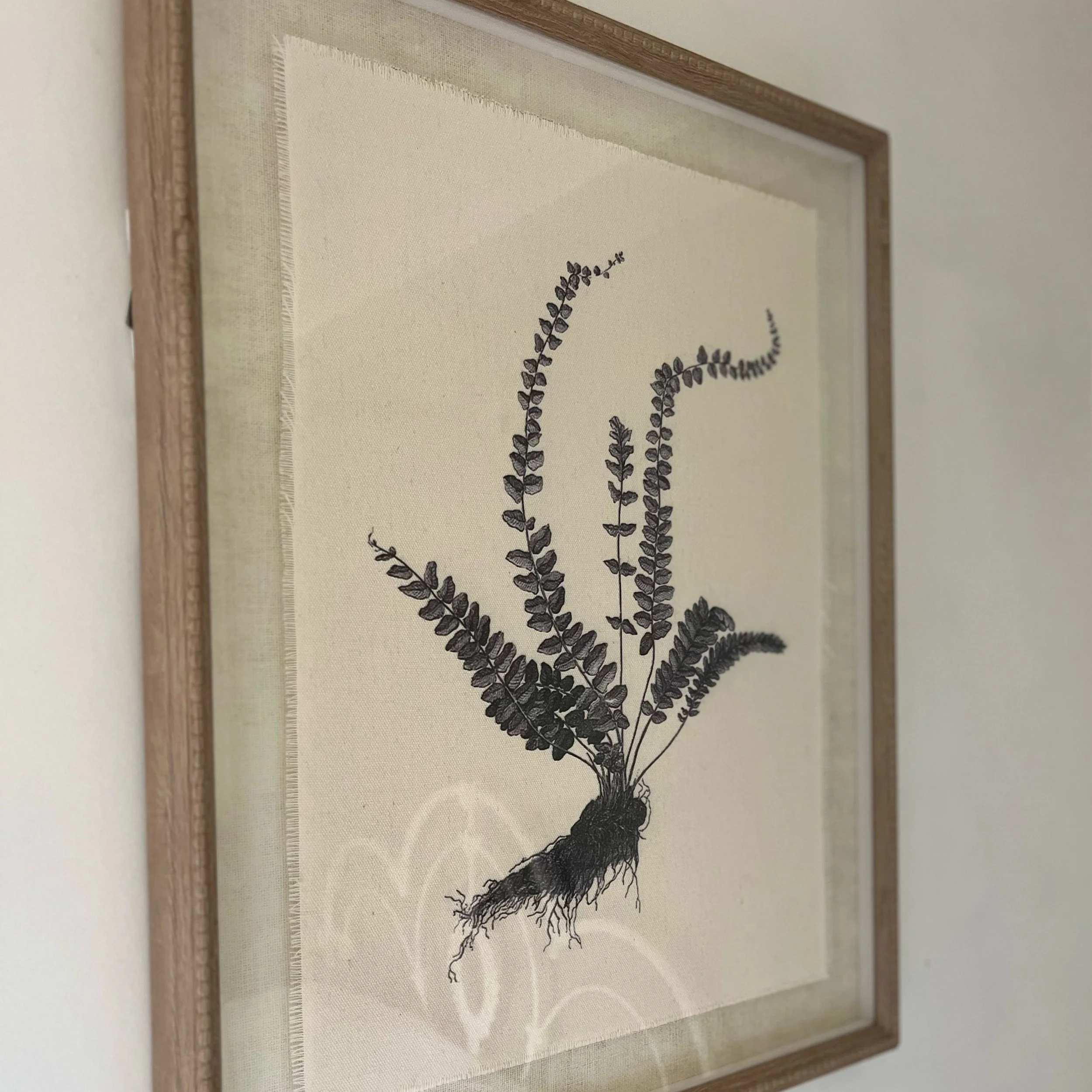 Asplenium Fern Botanical Linen Framed Print