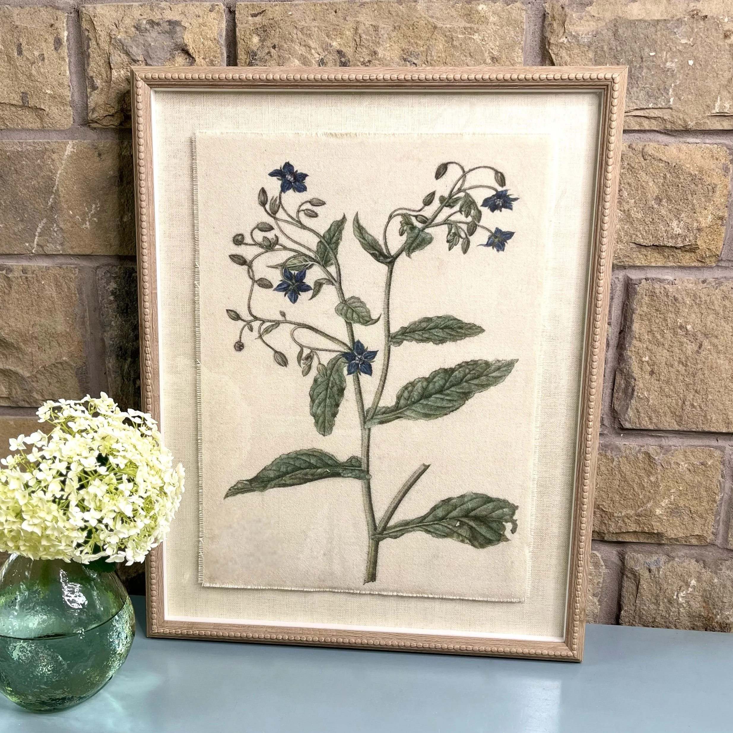 Borage (Starflower) Botanical Linen Framed Print