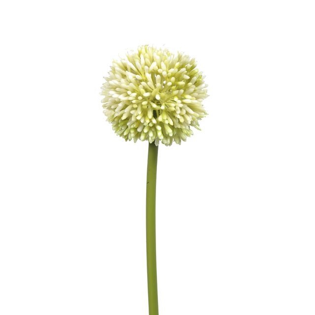 Cream Allium Faux Flower Stem