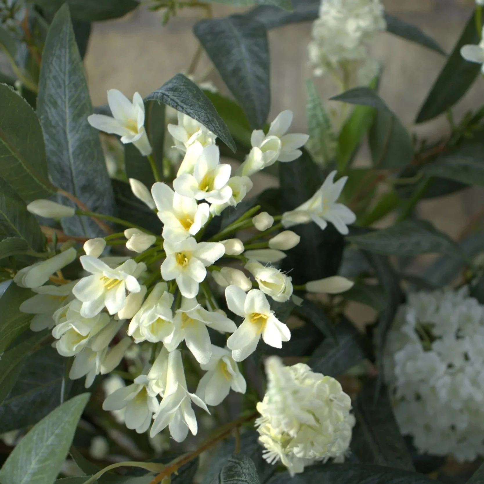 IMG_0084_inPixio.jpg (Copy)