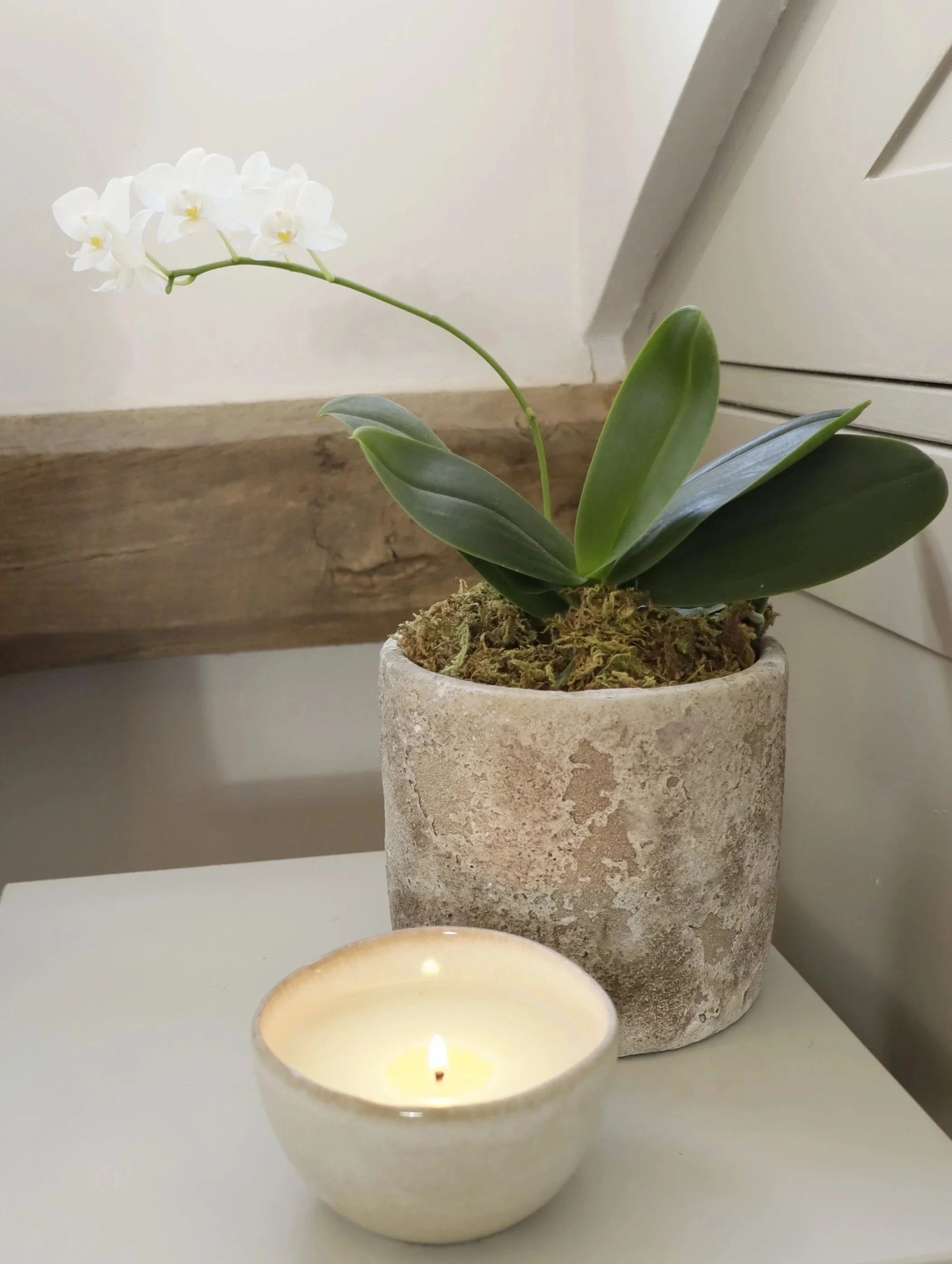 Medium Agean Rustic Pot