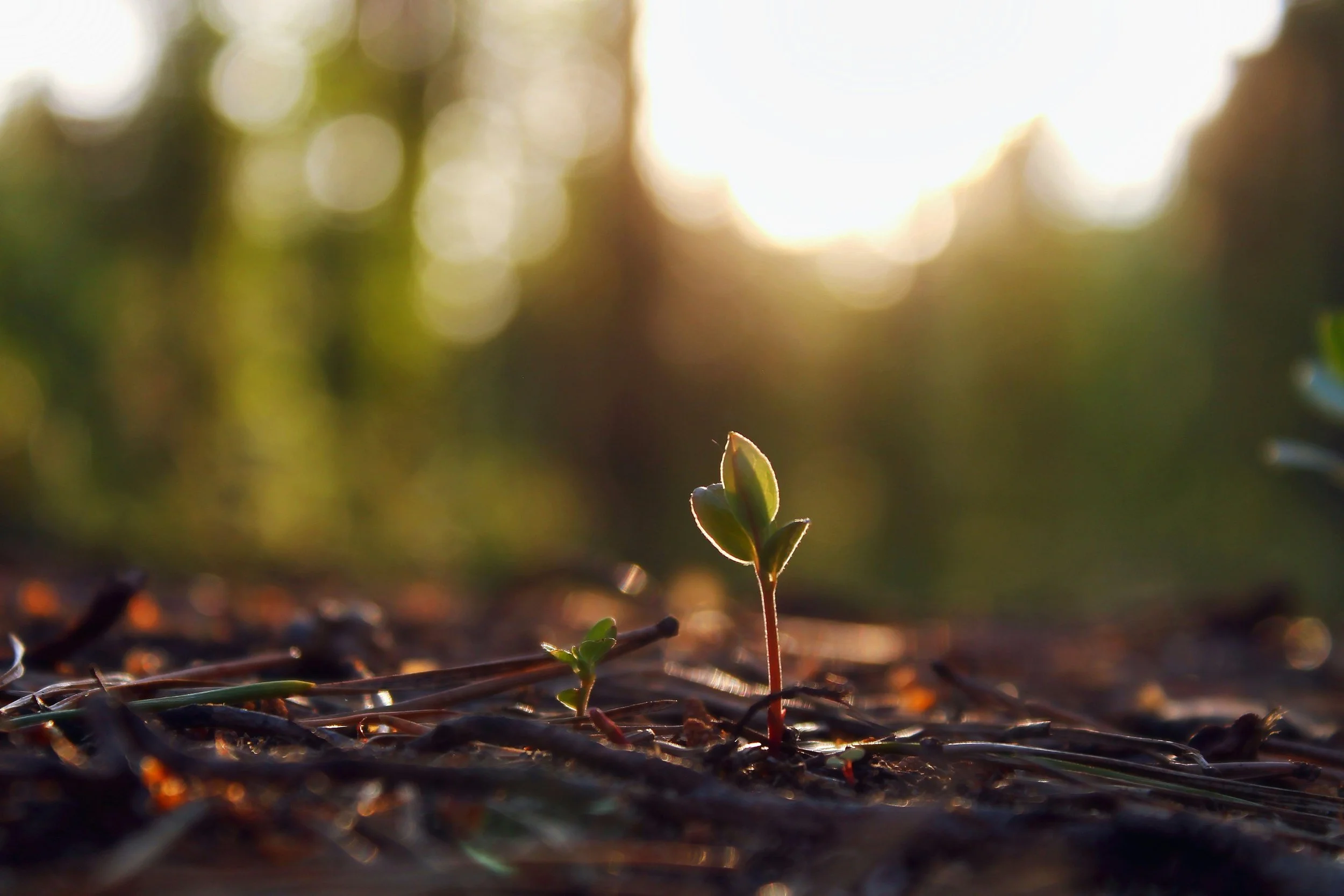 The Purpose Pledge Officially Launches Following Its Successful Pilot Year