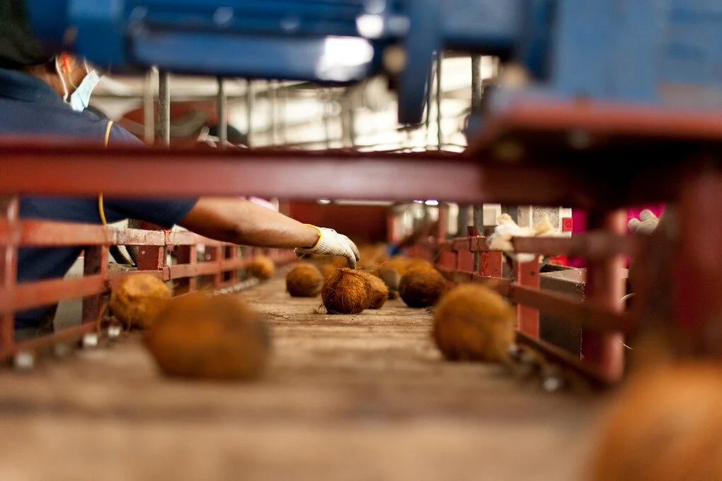 The Purpose Pledge Approach to Living Wages, Supply Chain Integrity, and Climate Action