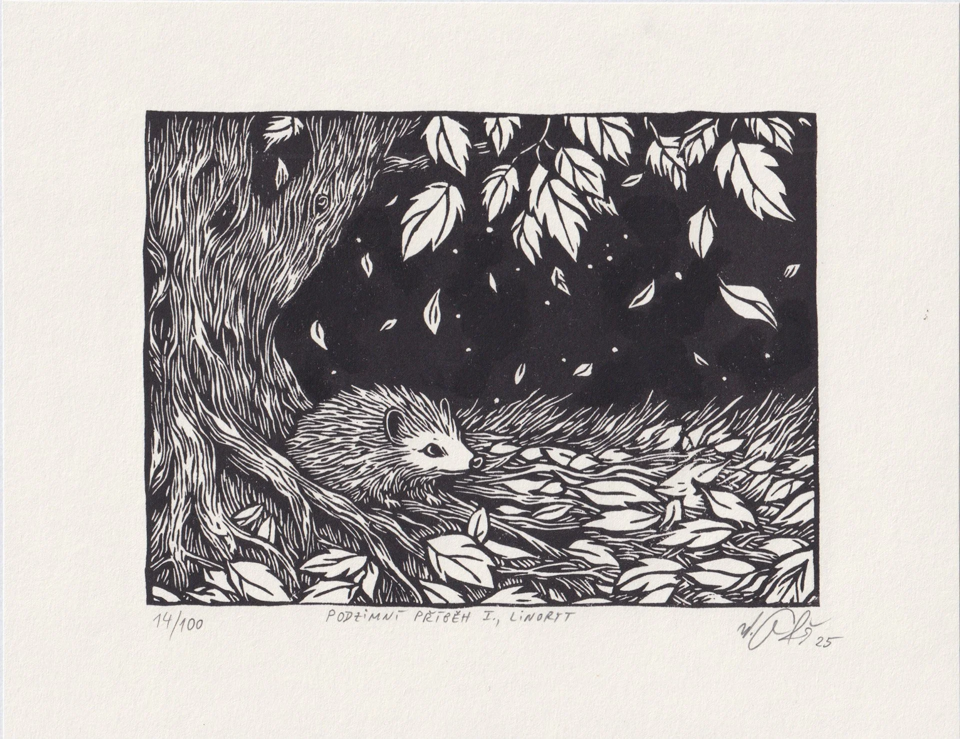 14 Hostens historie V1 linosnitt 2025 Gabris 14:100.jpg