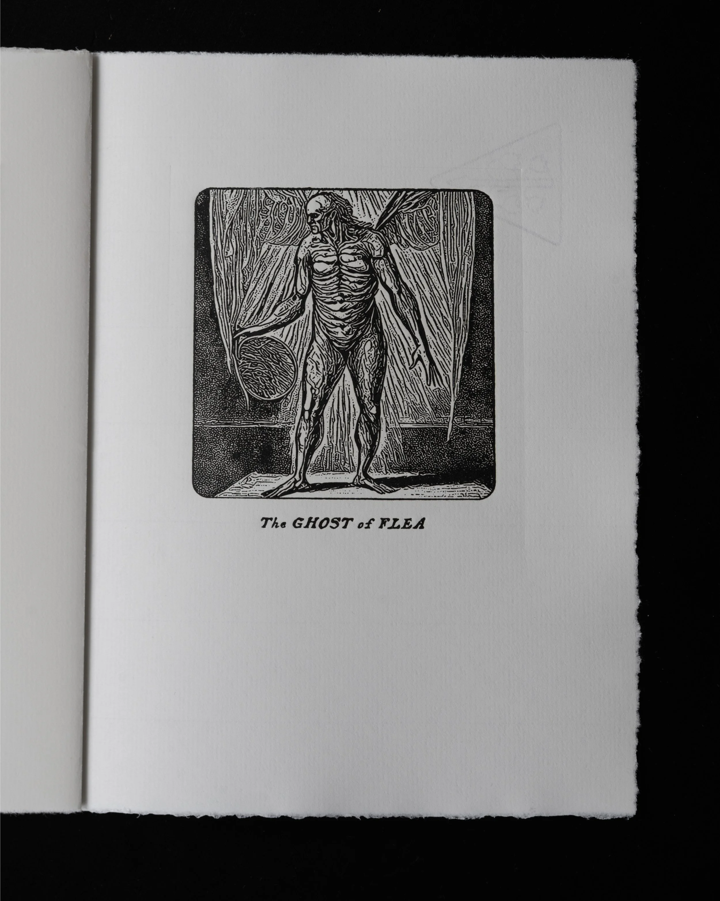 08 Blake Daemonds.jpg