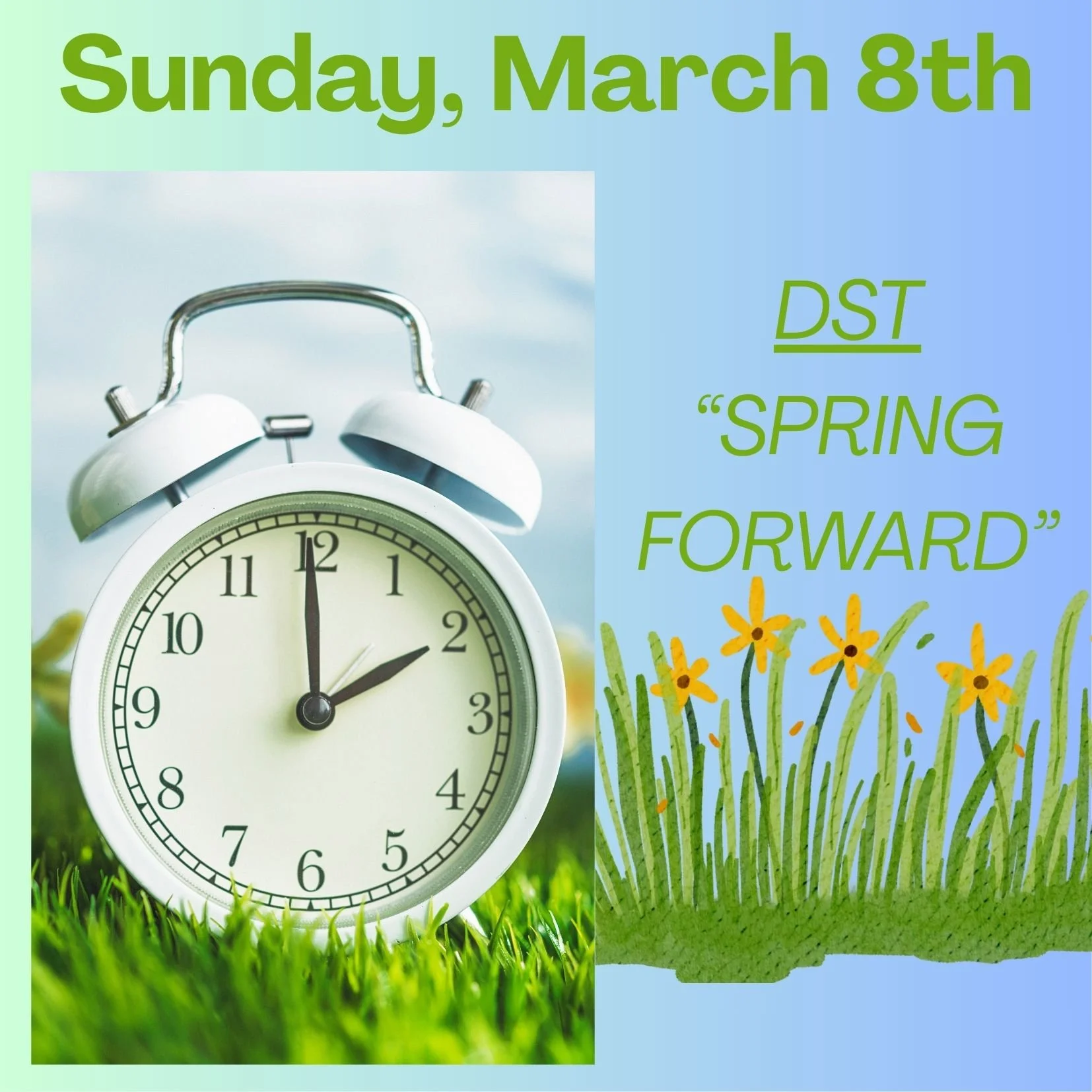 Daylight Savings Time