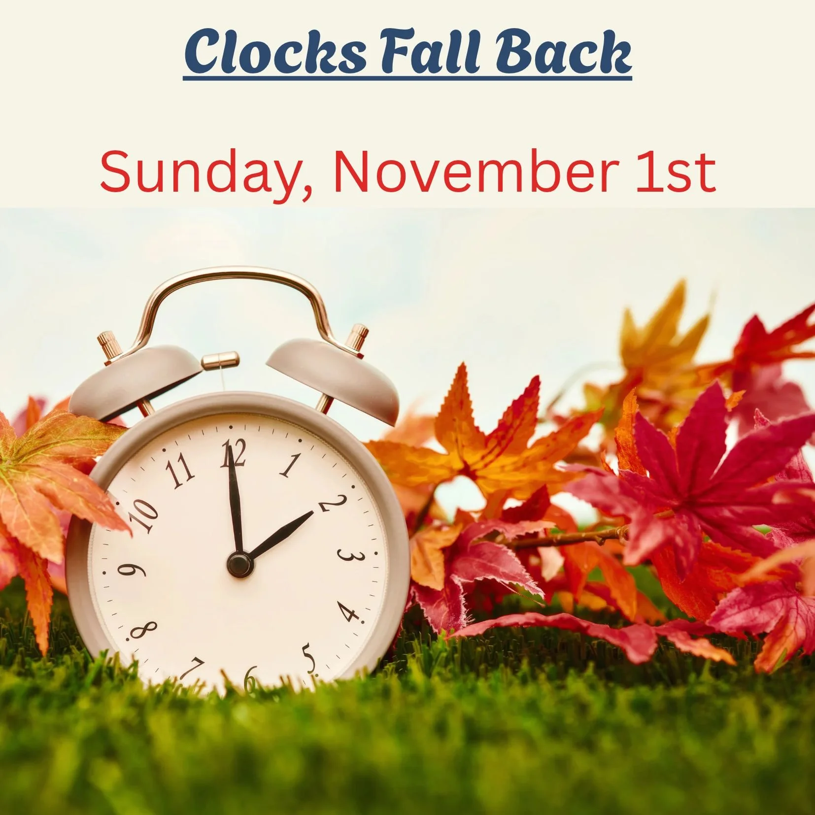 Daylight Savings