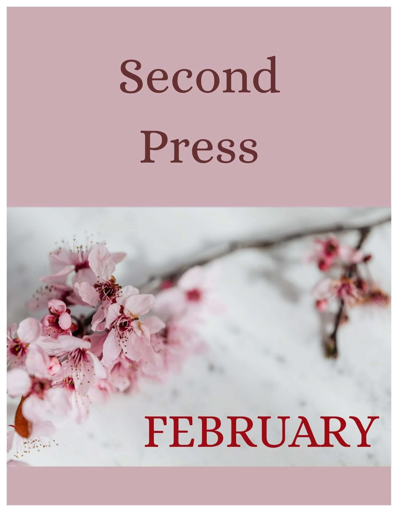 February Newsletter 1.jpg