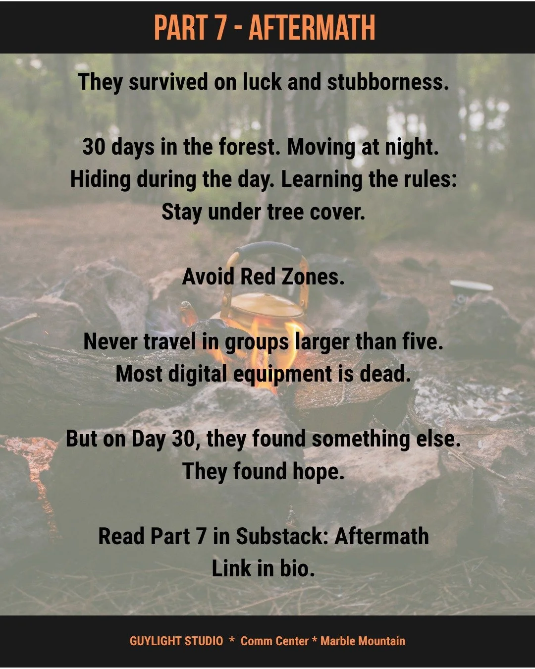 Part 7 - Aftermath #ThePromise #MissionLog #RedPowderMountain #IndieAuthor