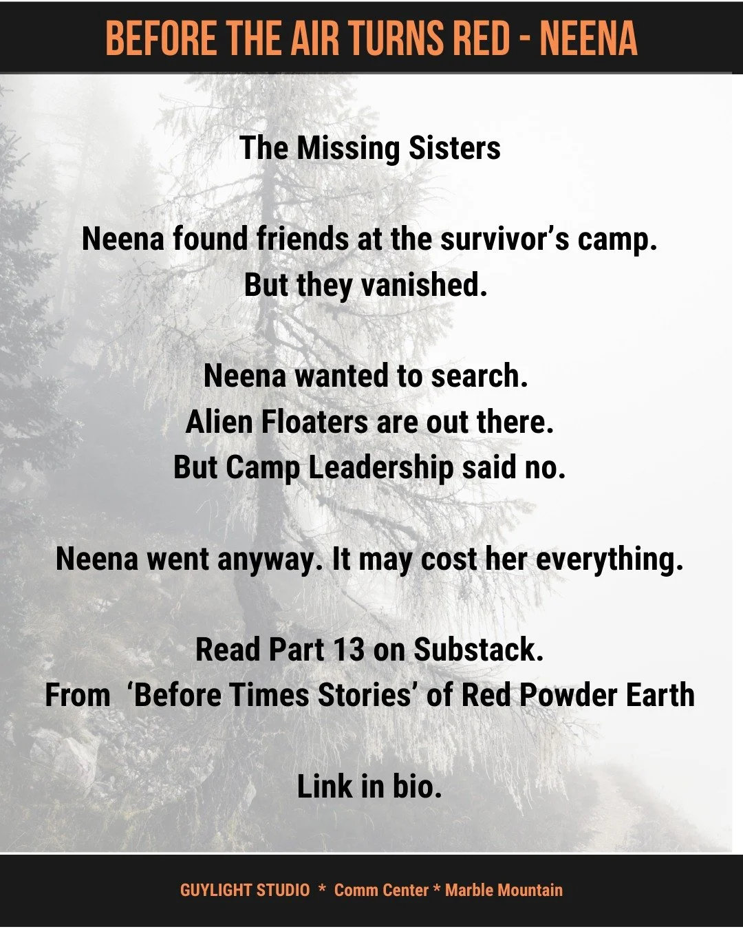 Neena and the Missing Sisters #RedPowderMountain #Hope #Indiewriter