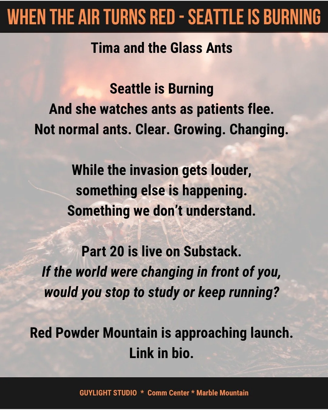 Seattle is burning, and Tima studies the morphing Glass Ants. #redpowdermountain #indiewriter