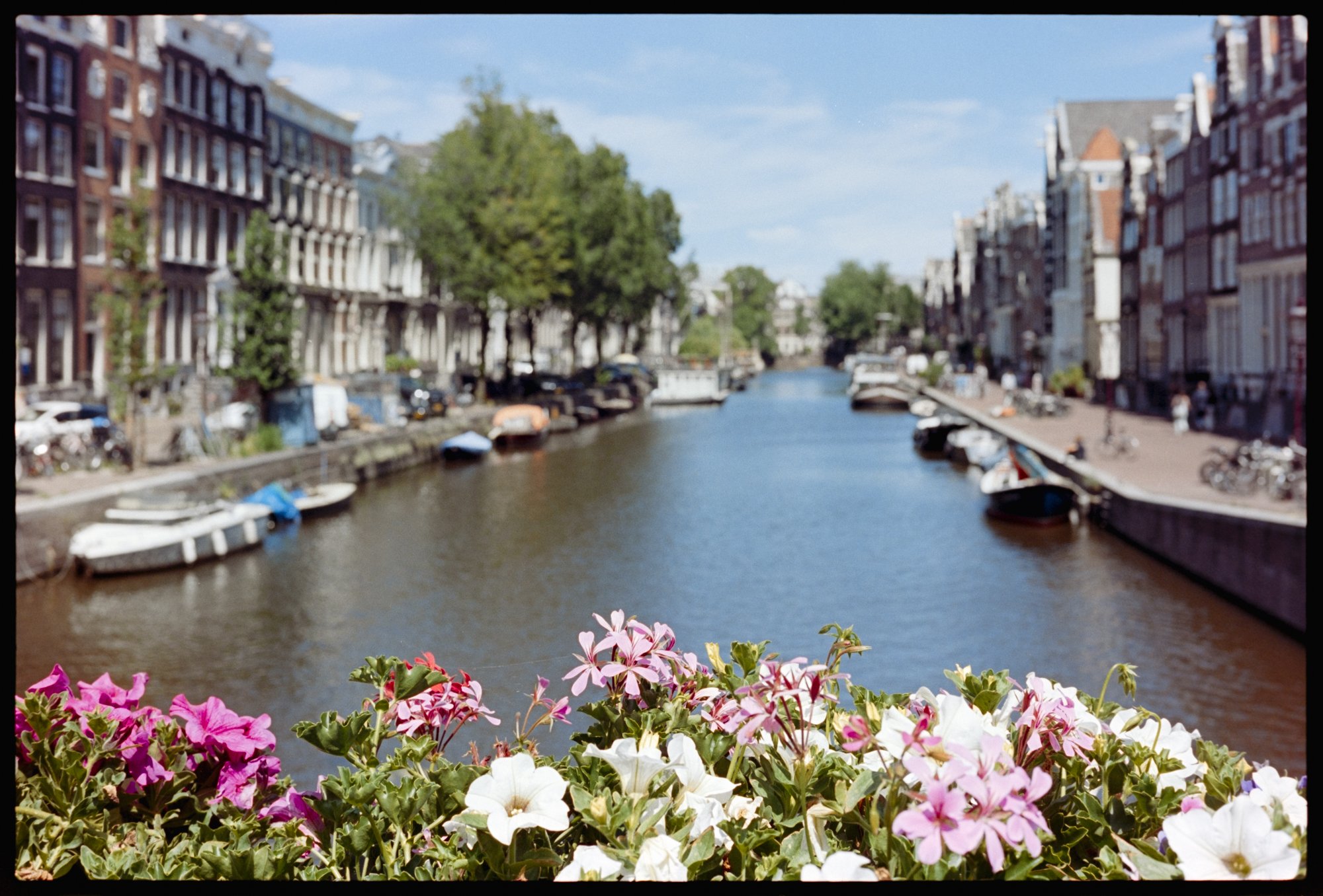 Flowers adorn the railing of a bridge over a canal in Amsterdam.