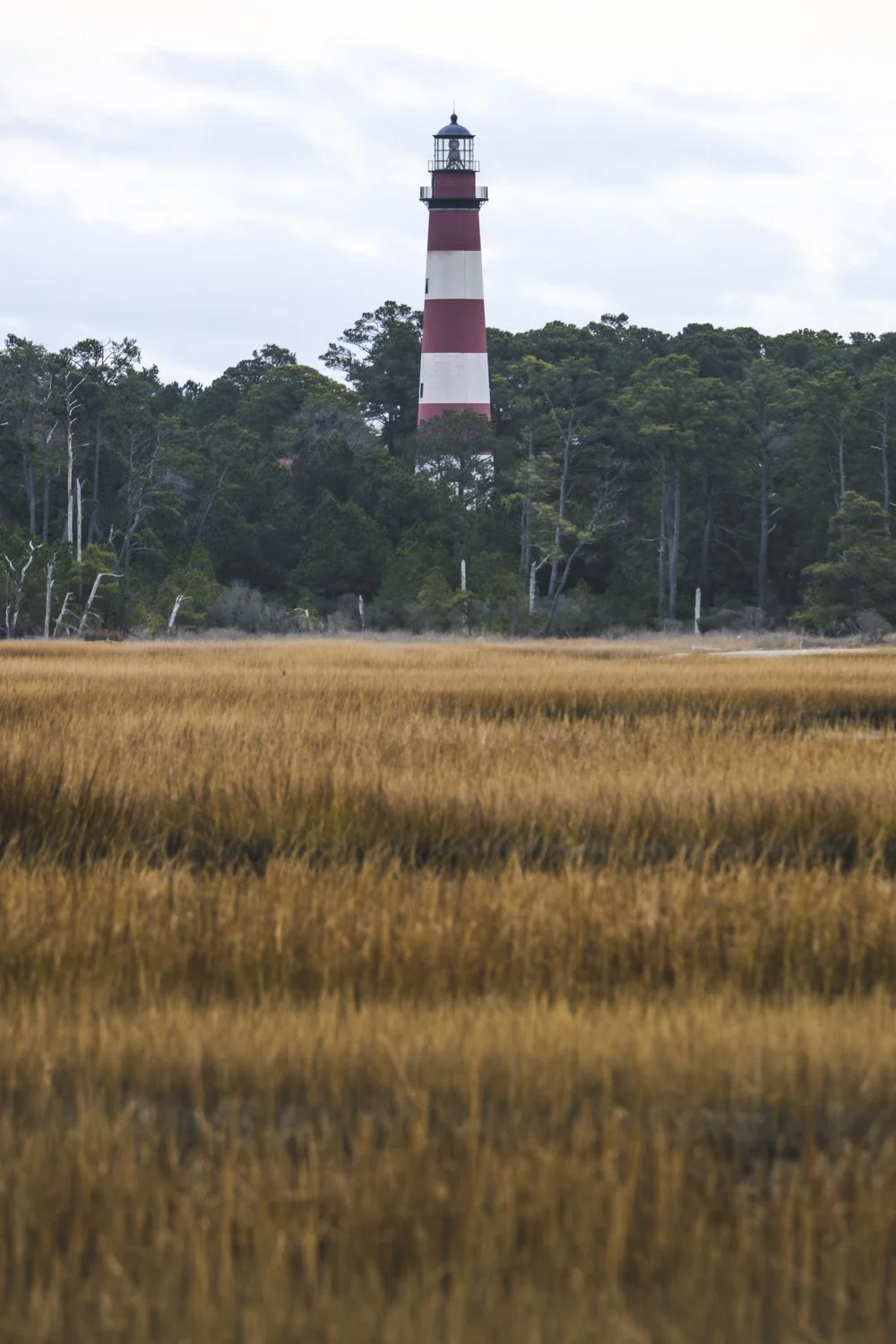 Assateague lighthouse