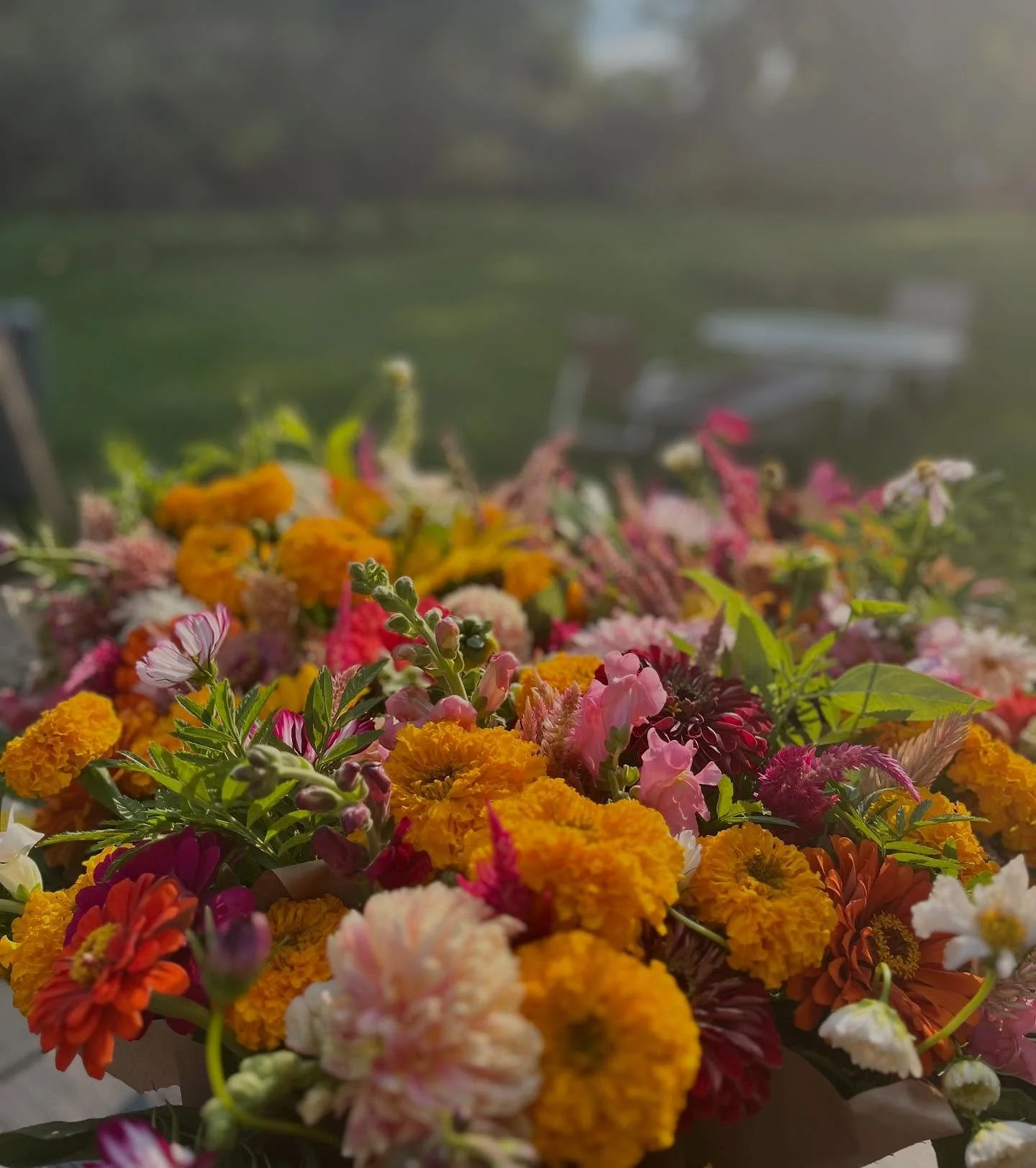 It&rsquo;s the last weekend of summer for #beavercreekcityschools! 

I&rsquo;m stocking the stand this weekend and calling it &ldquo;back-to-school blooms&rdquo; 🎒💐

Grab a sweet little posy jar for your favorite teacher, or just to celebrate a new