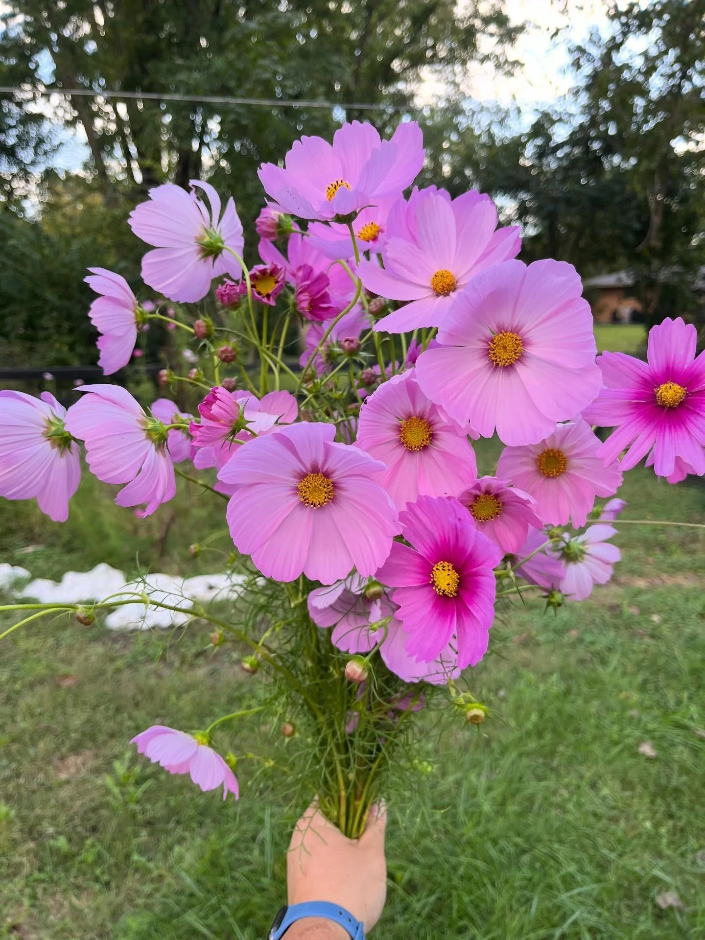 Happy Valentine&rsquo;s Day! 💌
A sweet excuse to share a few favorite pink + blush moments 💘

💗 While the gardens are still sleeping, it&rsquo;s a good reminder that spring is coming &mdash; and when it does, you don&rsquo;t have to settle for flo