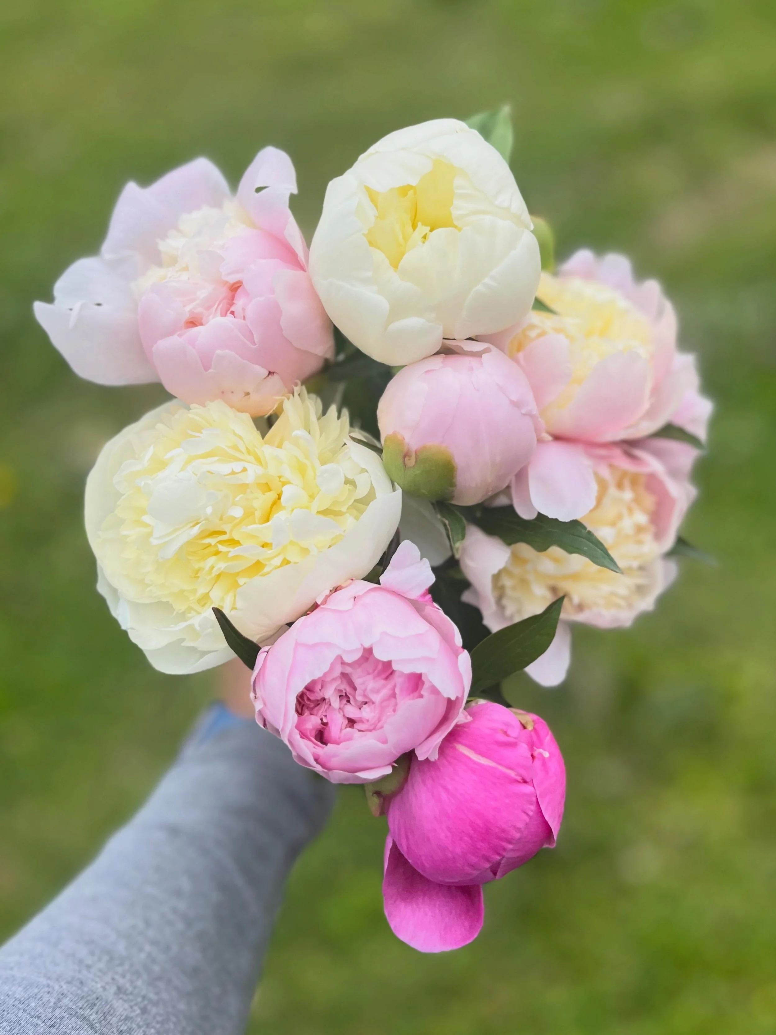 Some of my favorite flower shots from the last few weeks 🌼 Spring flowers are really something else!

As May flies by and spring begins to wind down, June CSA is now open 🌿

This season is going to look a little slower and sweeter around here as ou