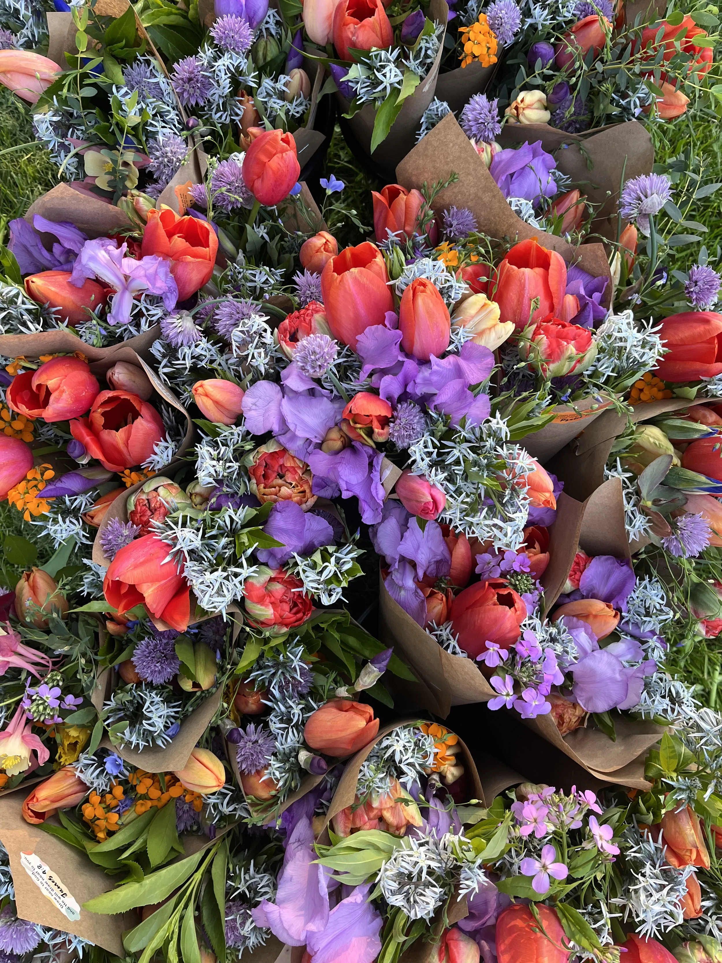 IMG_4353 2.jpeg (Copy)