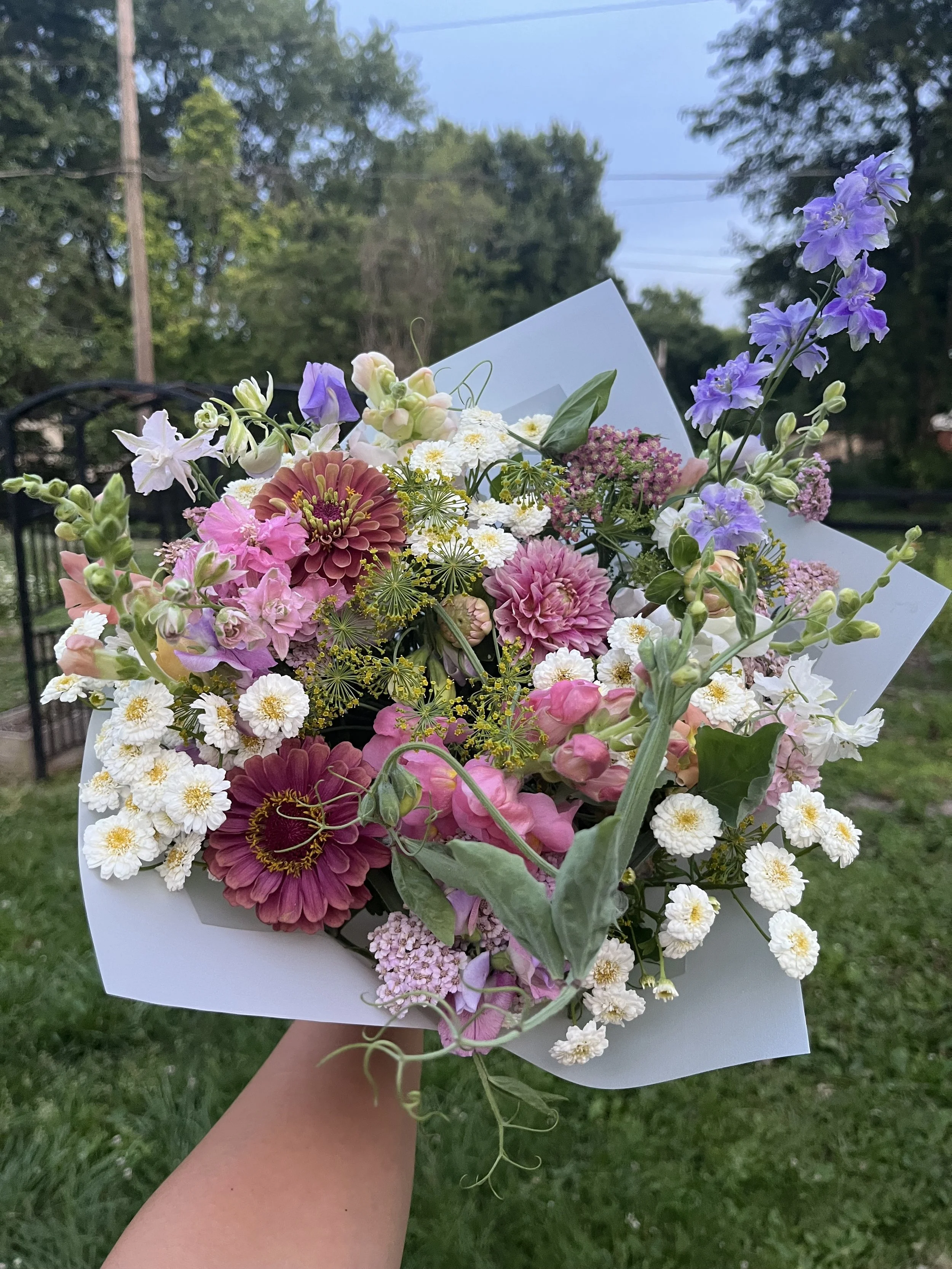 IMG_5319.jpeg (Copy)