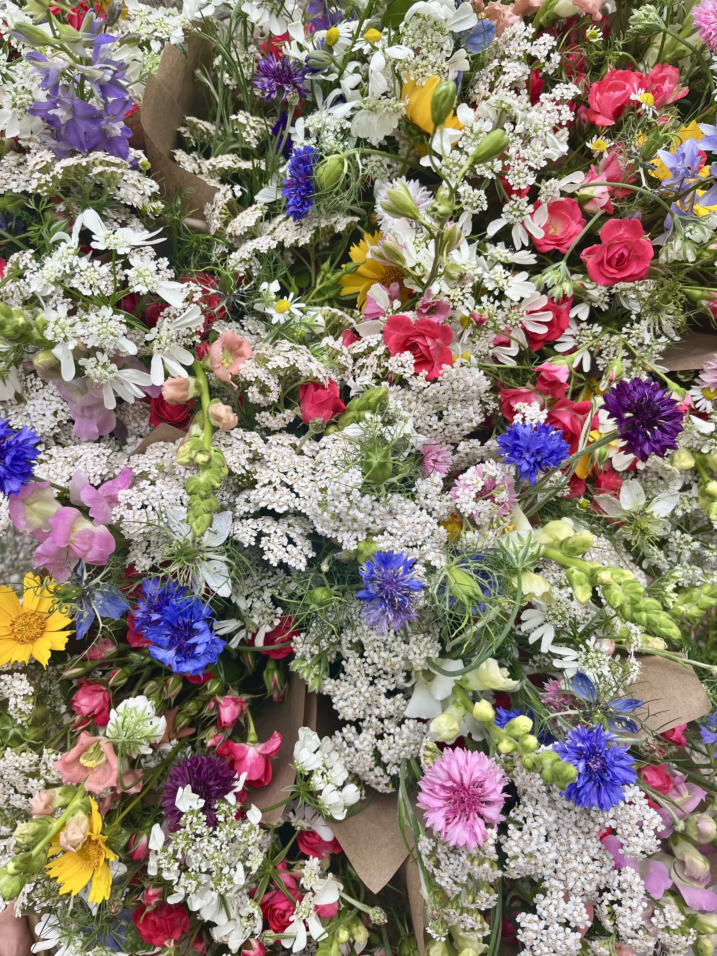 IMG_4785.jpeg (Copy)