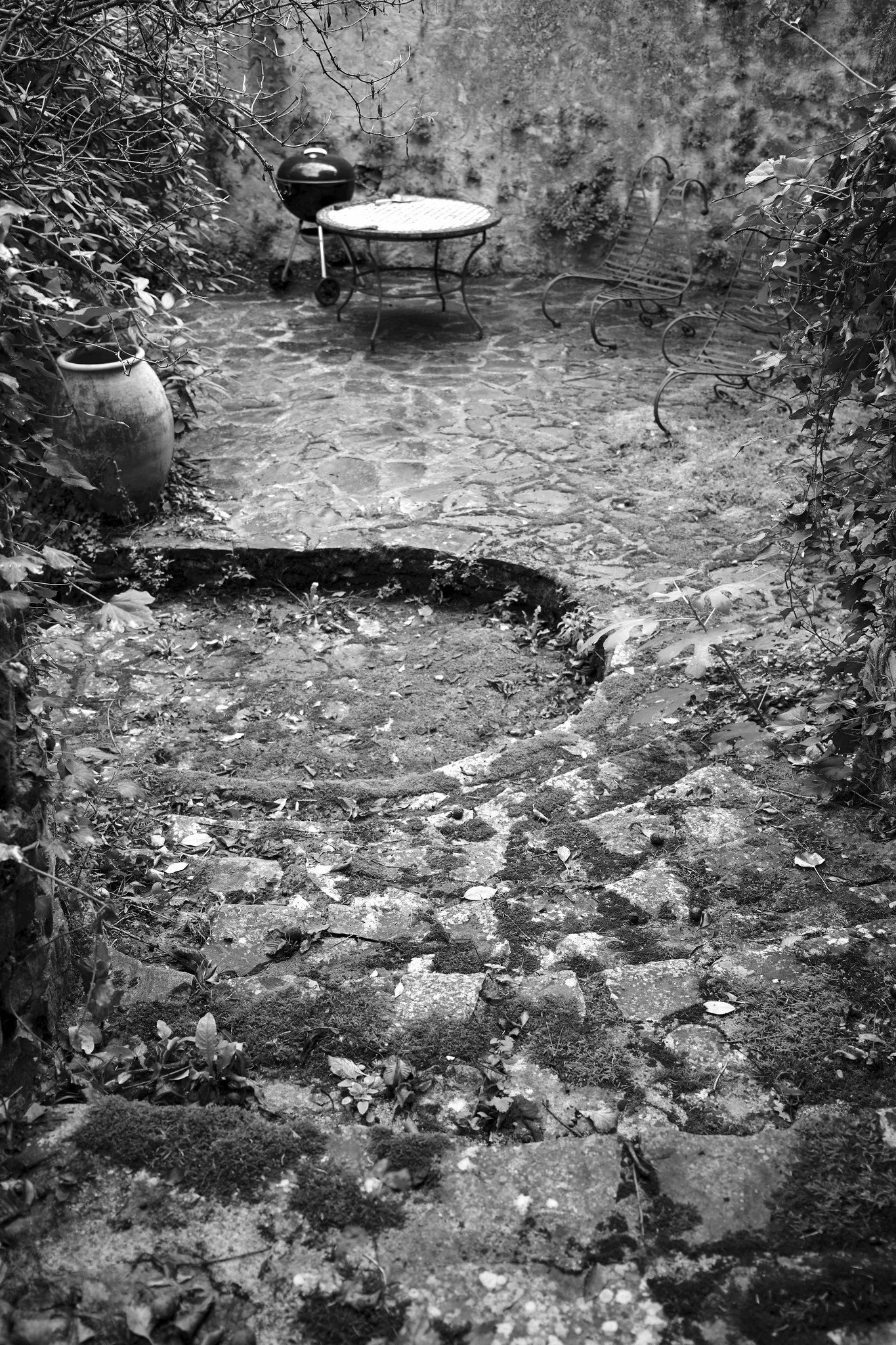 _DSF1303_Flickr