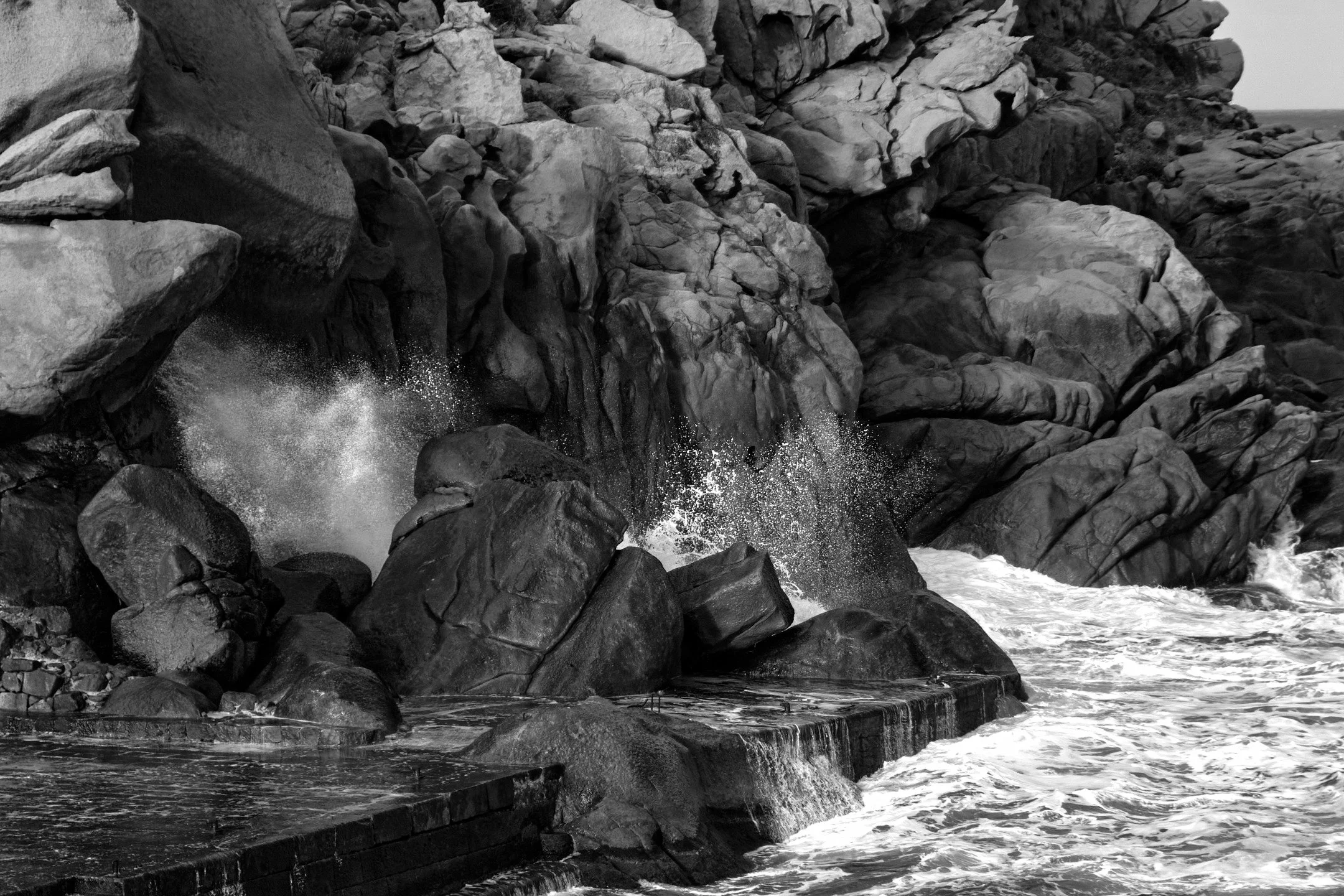 Rocher marin Corse, 2016