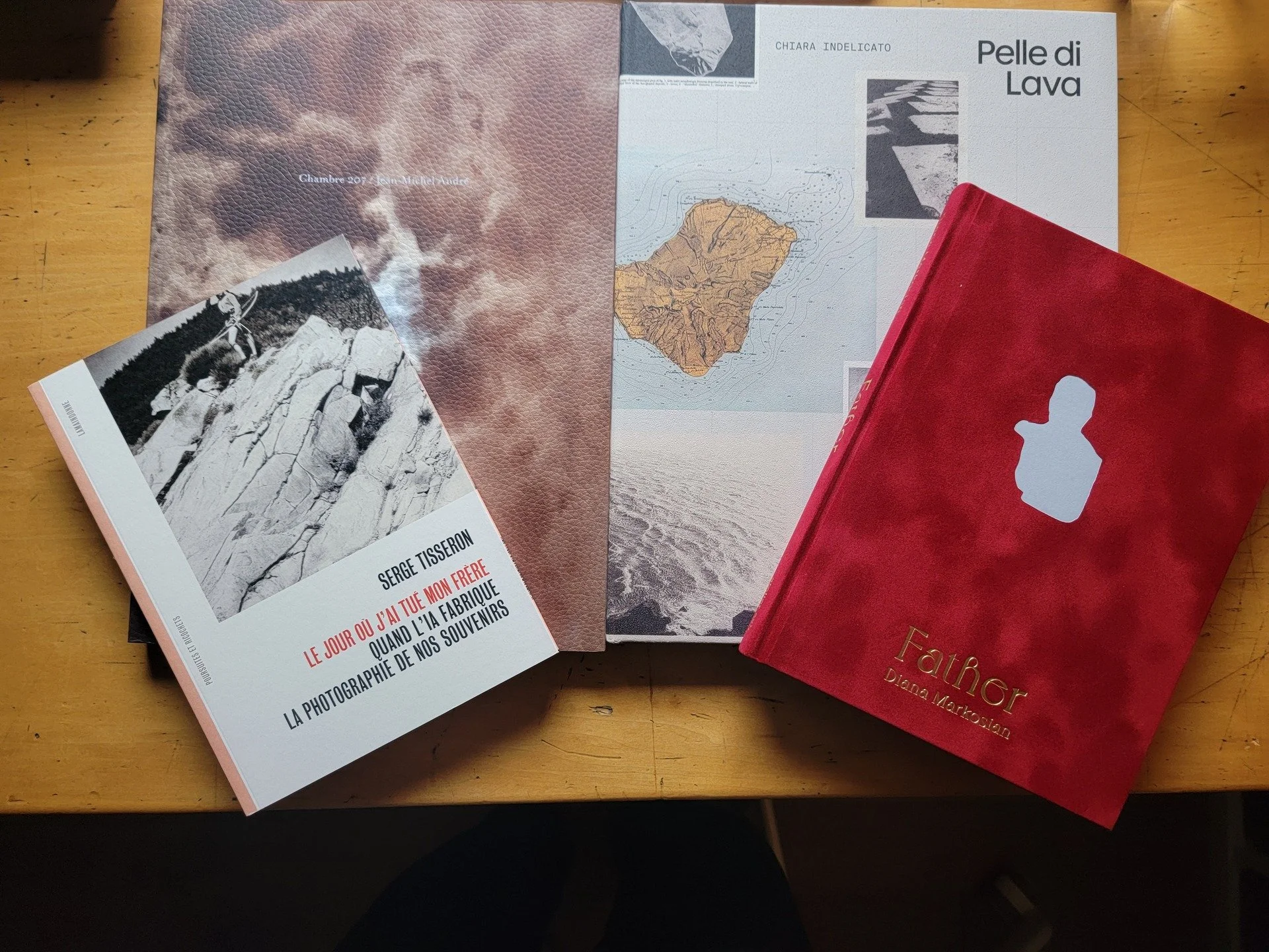 Mes acquisitions de livres aux Rencontres de la photographie &agrave; Arles cette ann&eacute;es :

Serge Tisseron : Le jour o&ugrave; j'ai tu&eacute; mon fr&egrave;re : Quand l&rsquo;IA fabrique la photographie de nos souvenirs.

Jean-Michel Andr&eac