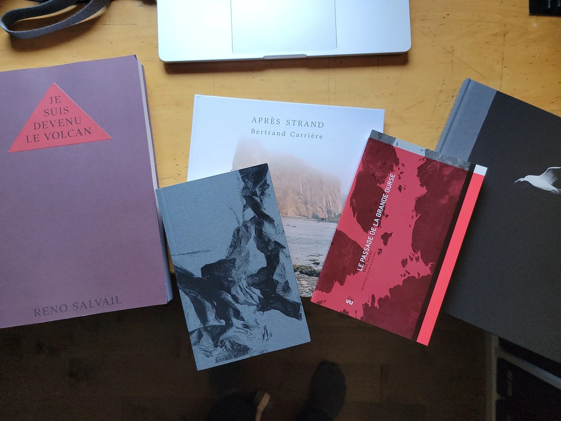 Mes r&eacute;centes acquisitions de livres de photographie qu&eacute;b&eacute;cois, effectu&eacute;es lors de la derni&egrave;re &eacute;dition de Volumes (https://www.volumemtl.art/).

Certains d'entre eux feront l'objet de textes sur mon site Web :