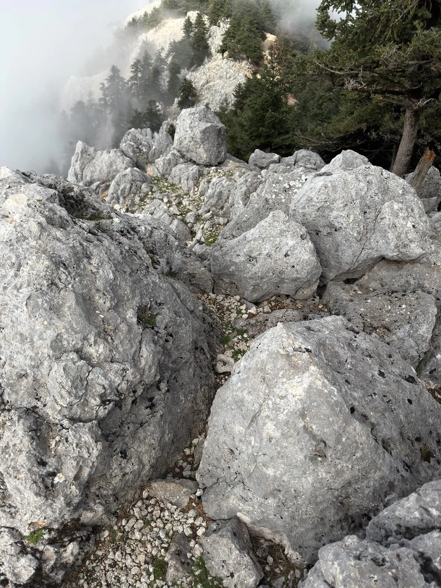 Mont Ainos, Kefalonia, octobre 2025