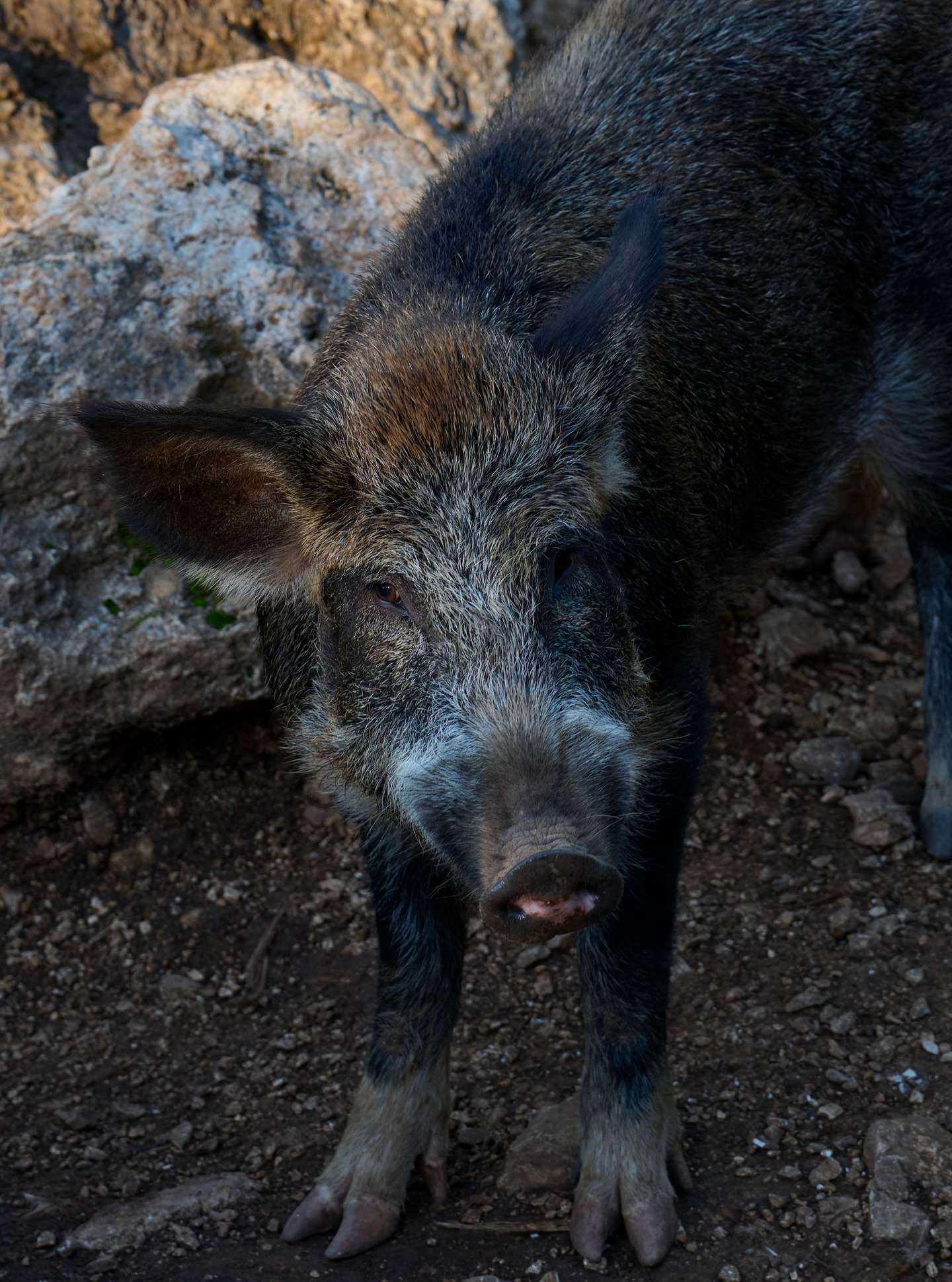 Kefalonia, octobre 2025