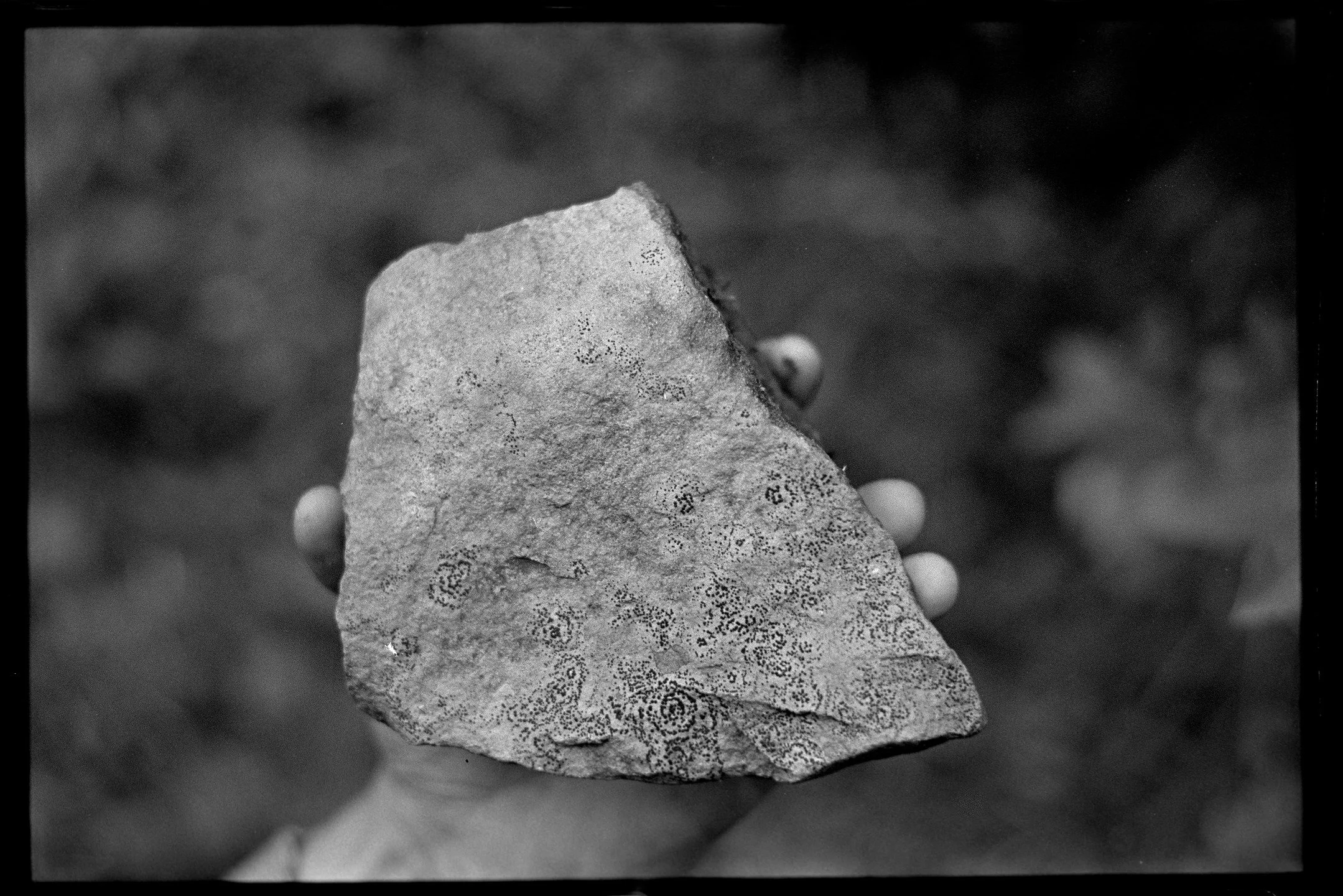 Gasp&eacute;sie, 1977