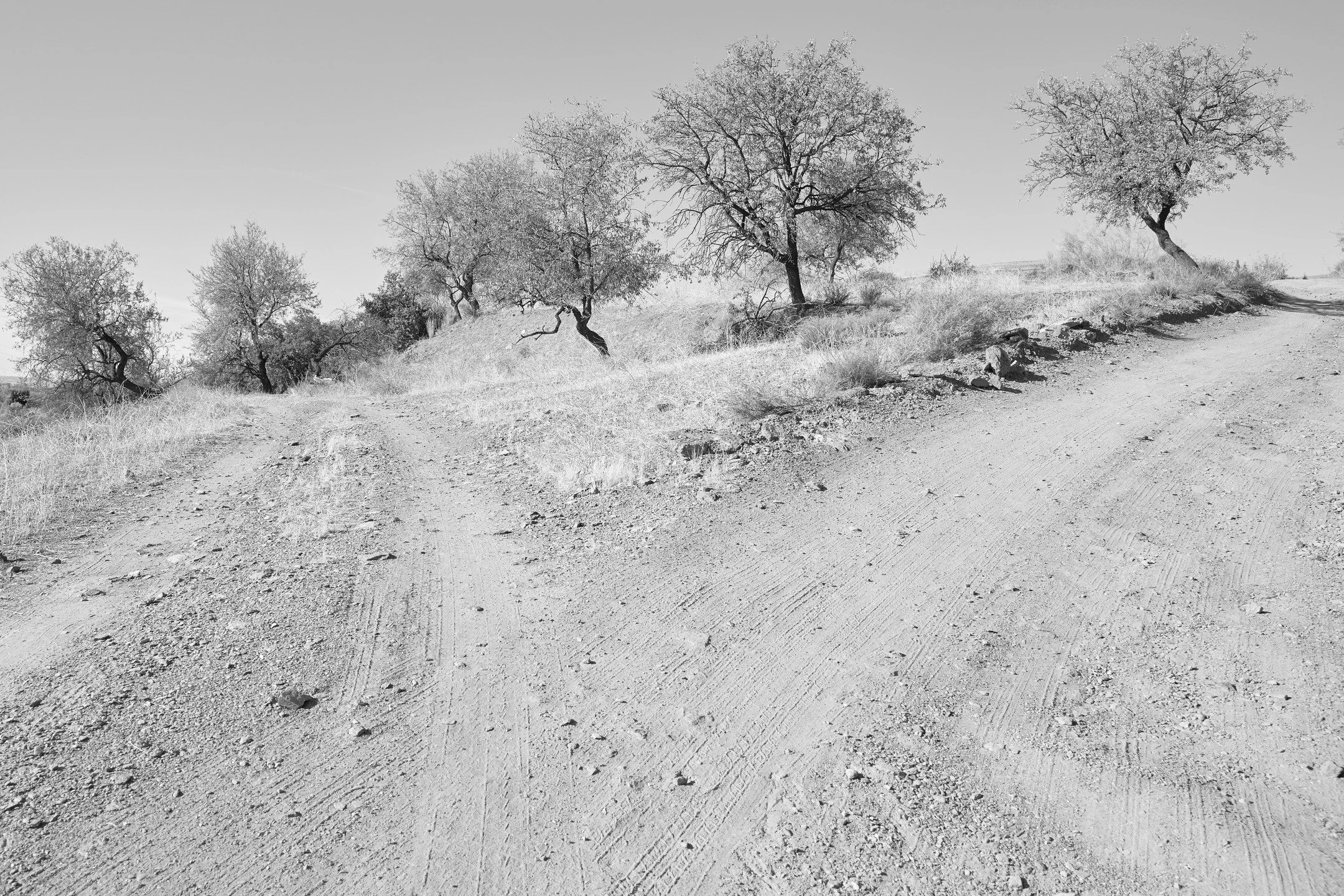 Alpujaras, Andalousie, octobre 2024
