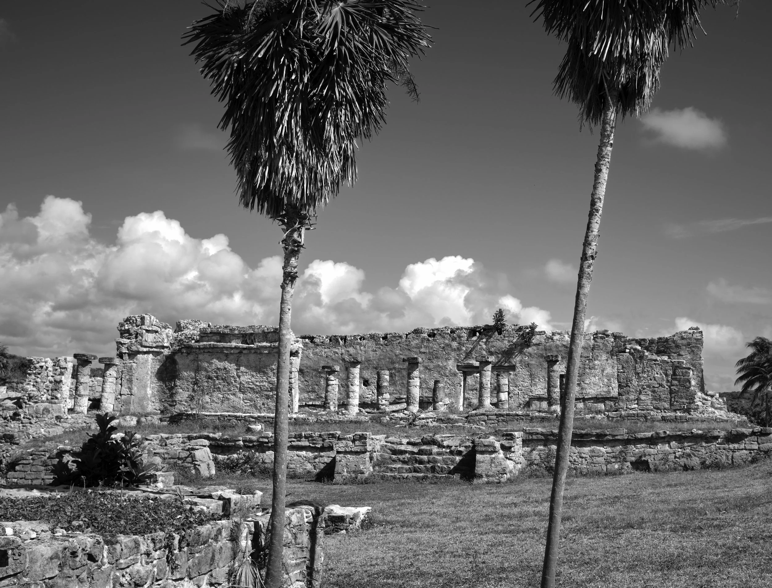 _FXF2939_PRINT 3SS.jpg