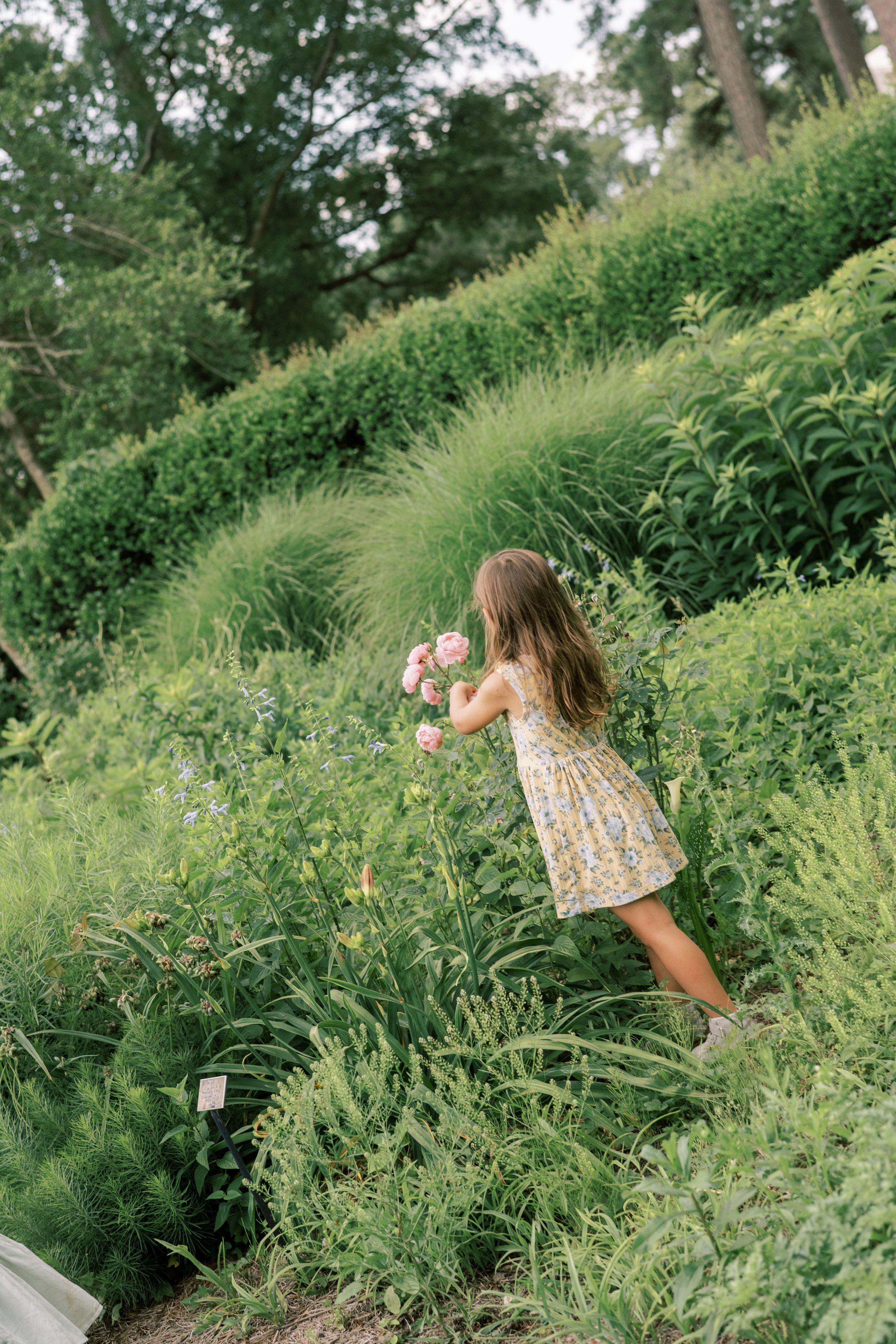 Following Joy - a Direction for Life