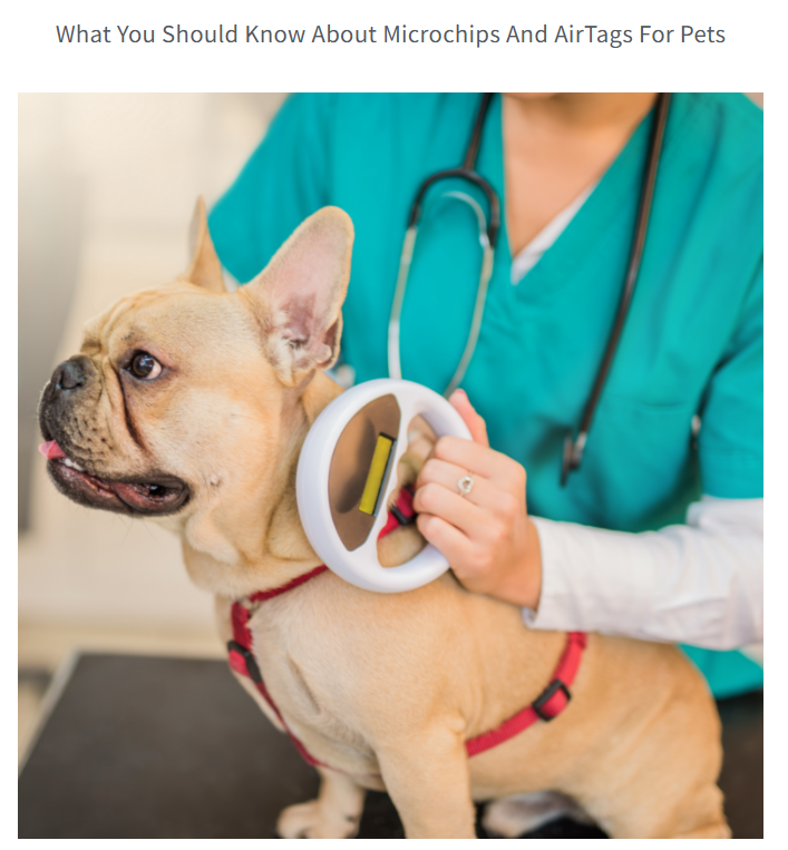 https://treatibles.com/blog/what-you-should-know-about-microchips-and-airtags-for-pets/