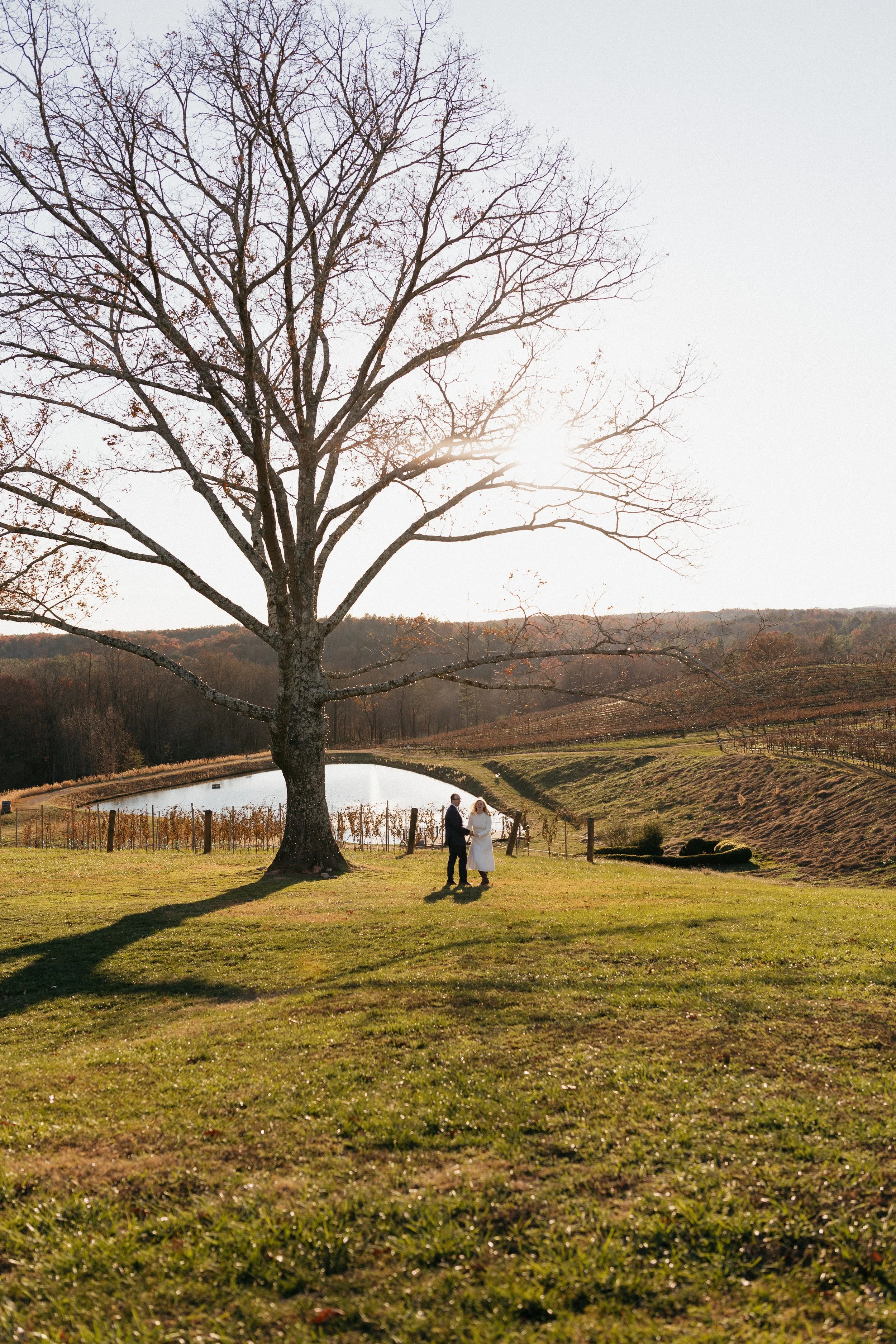 A couple dressed in wedding attire walking near a large leafless tree on a grassy field during sunset, with a pond and rolling hills in the background.