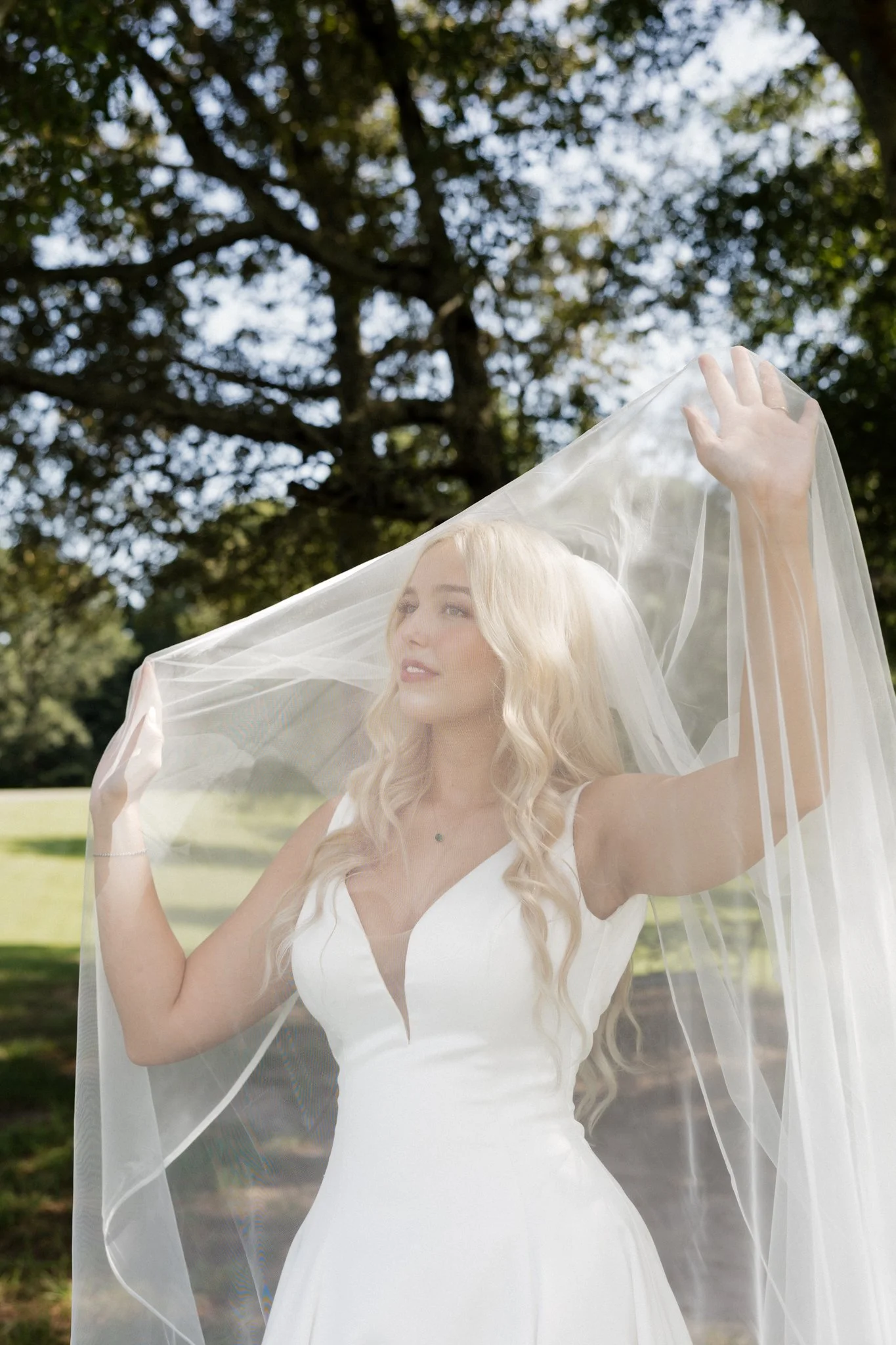 A bride with long blonde hair in a white wedding dress holding a sheer veil outdoors next to a large tree.