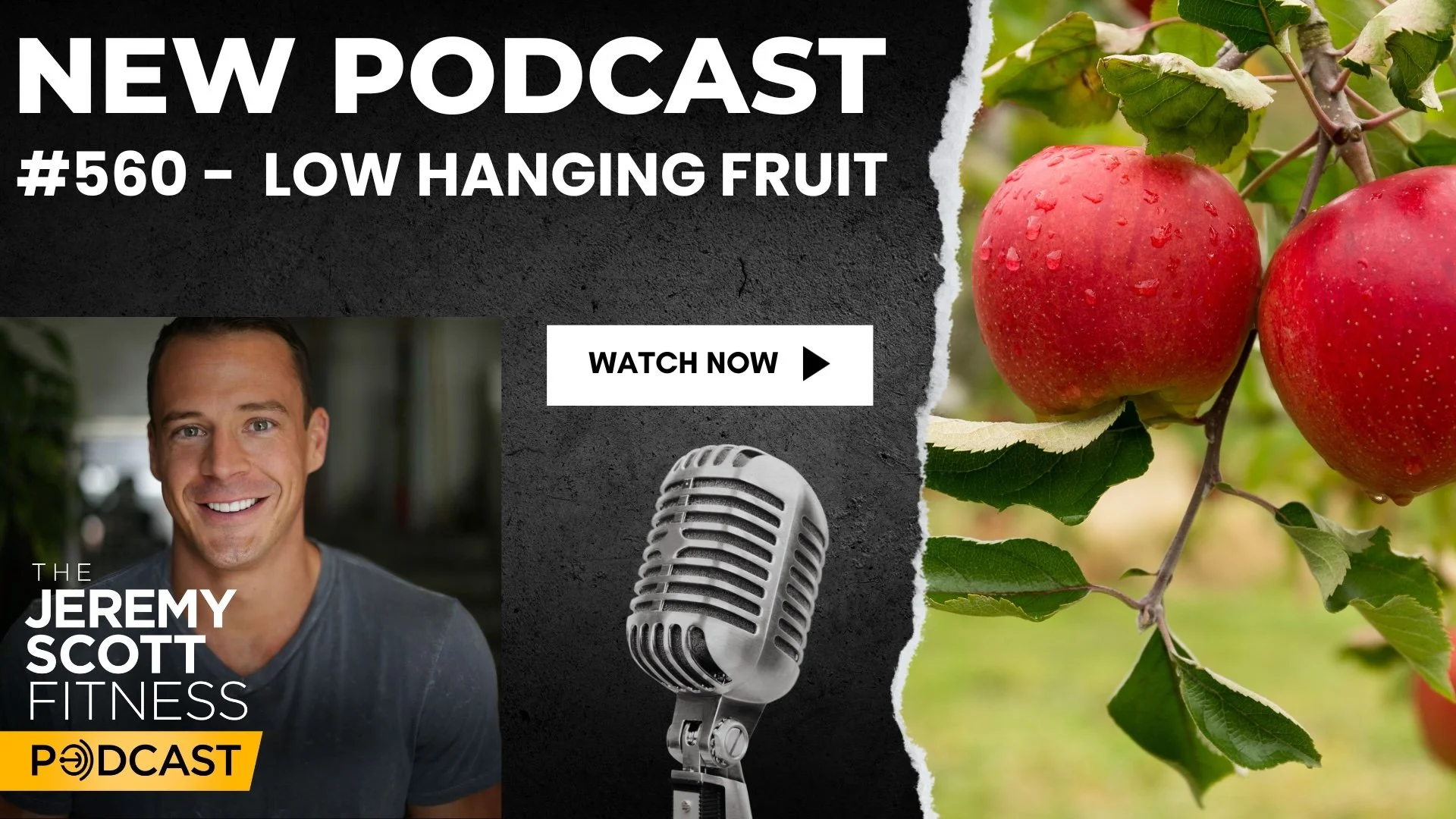Ep 560: Low Hanging Fruit