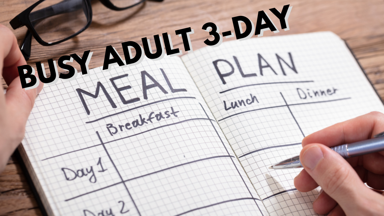 3-Day Simple Meal Plan for Busy Adults | Quick & Healthy Recipes