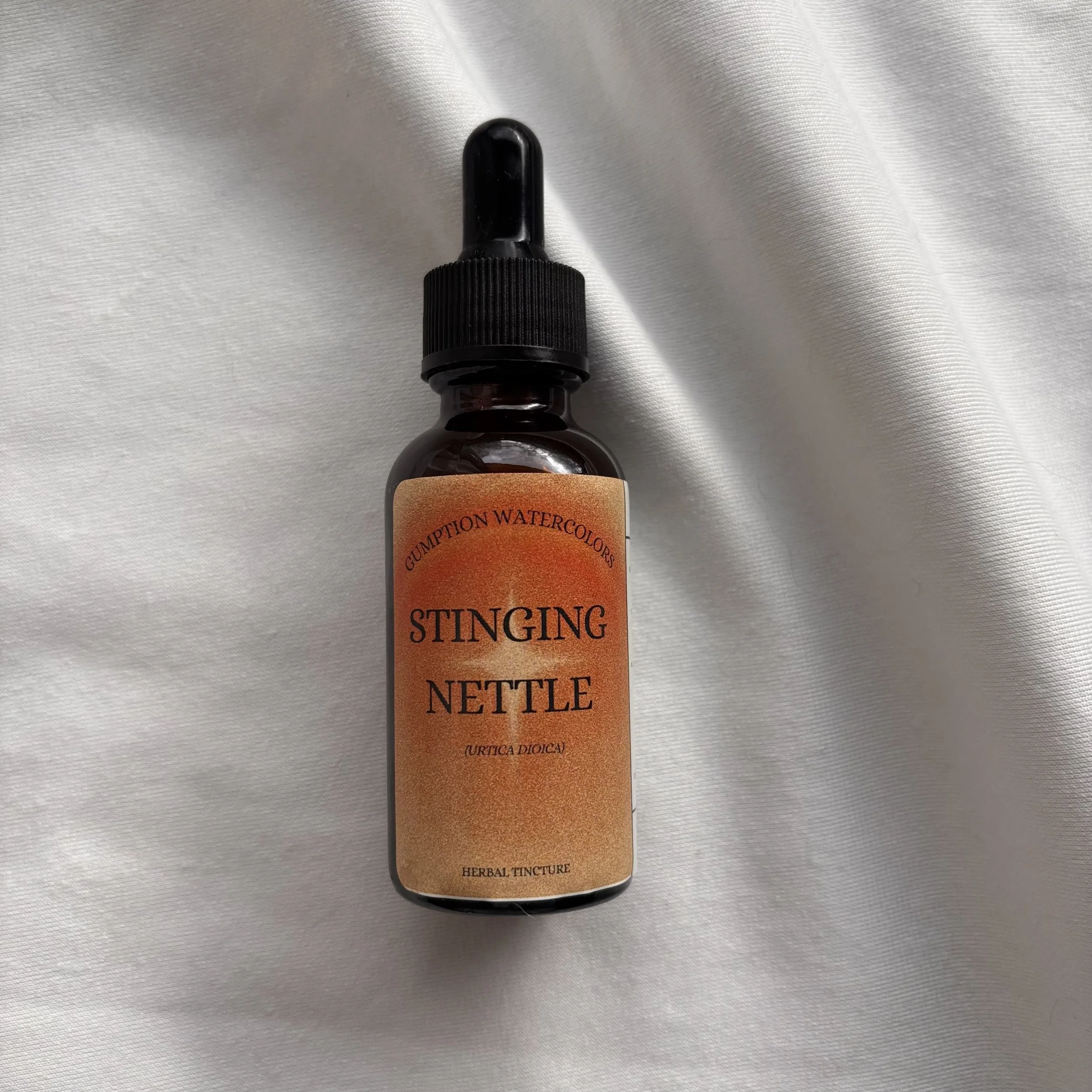 Stinging Nettle (Urtica dioica) Tincture - 1 oz