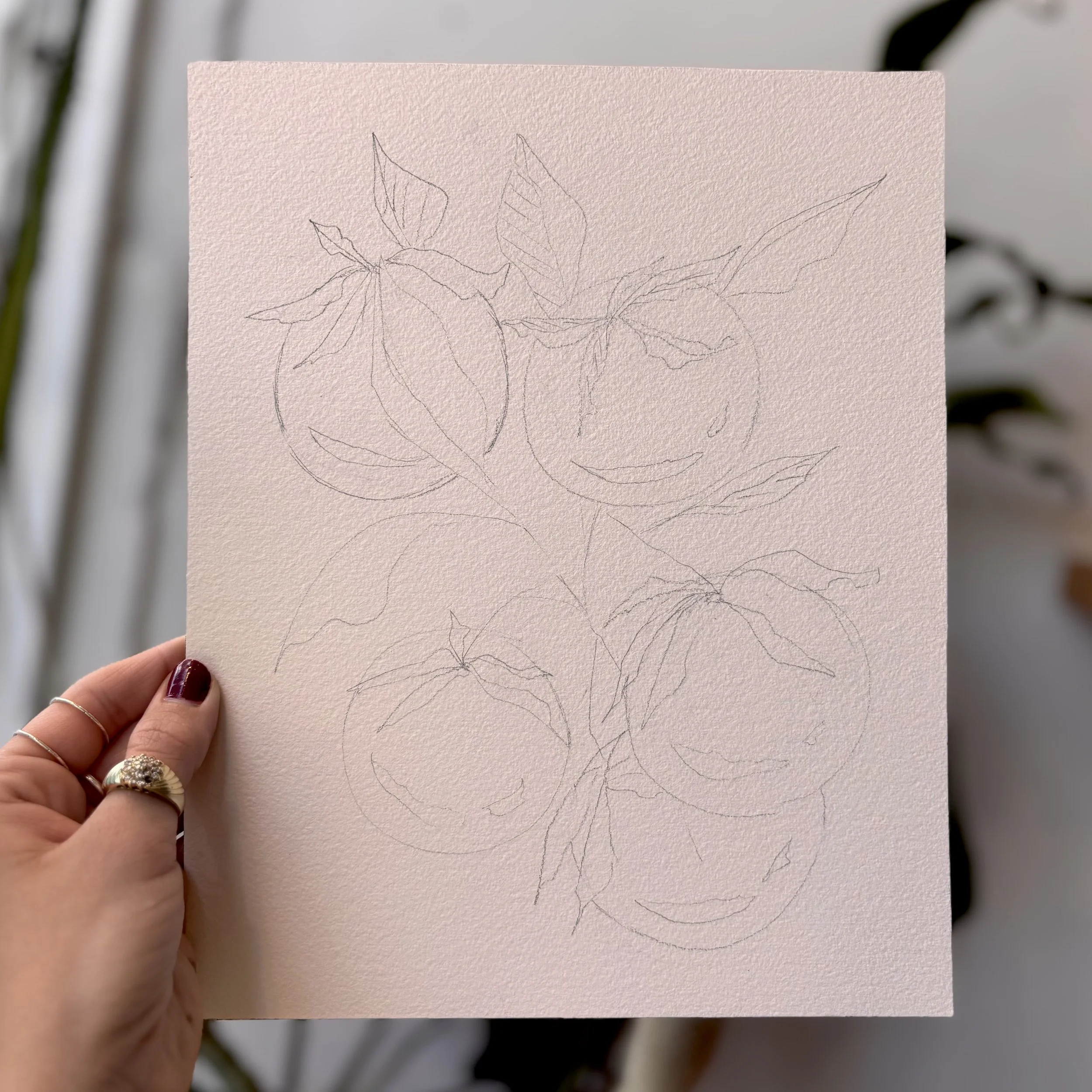 Paint Your Own - Set of 8 Fruit and Veggie Sketches