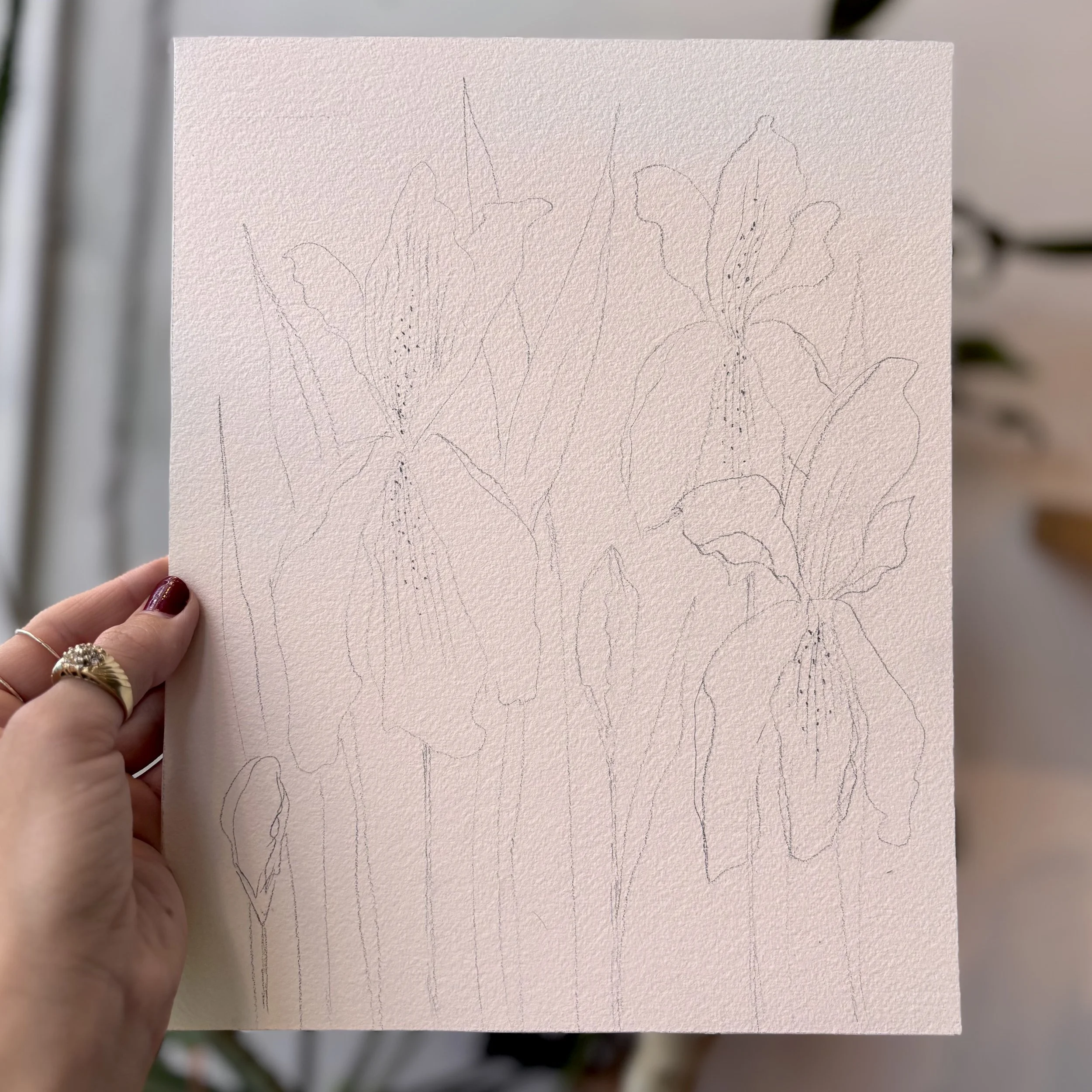 Paint Your Own - Set of 8 Floral Sketches
